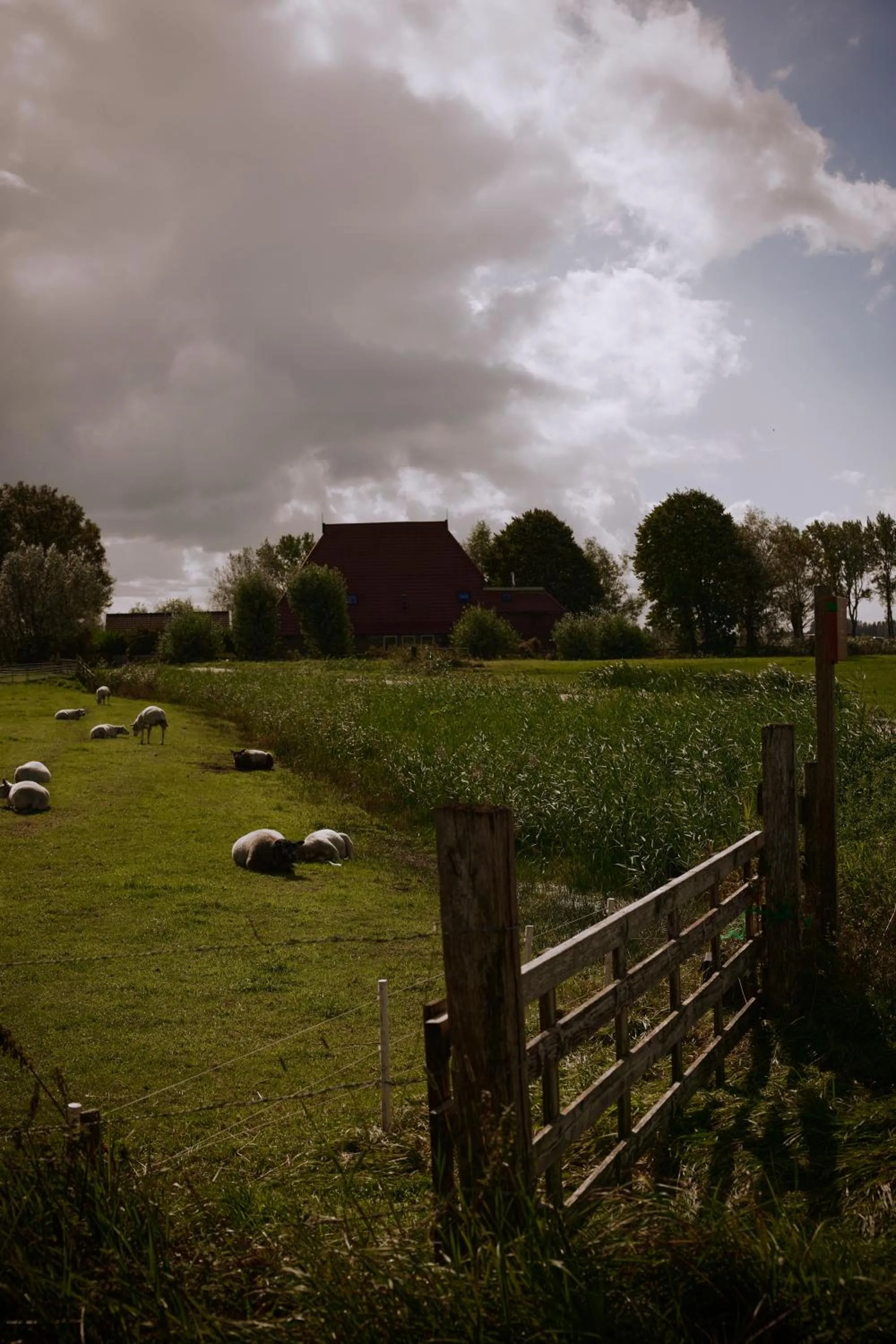 Natural landscape in Hotel Oostergoo