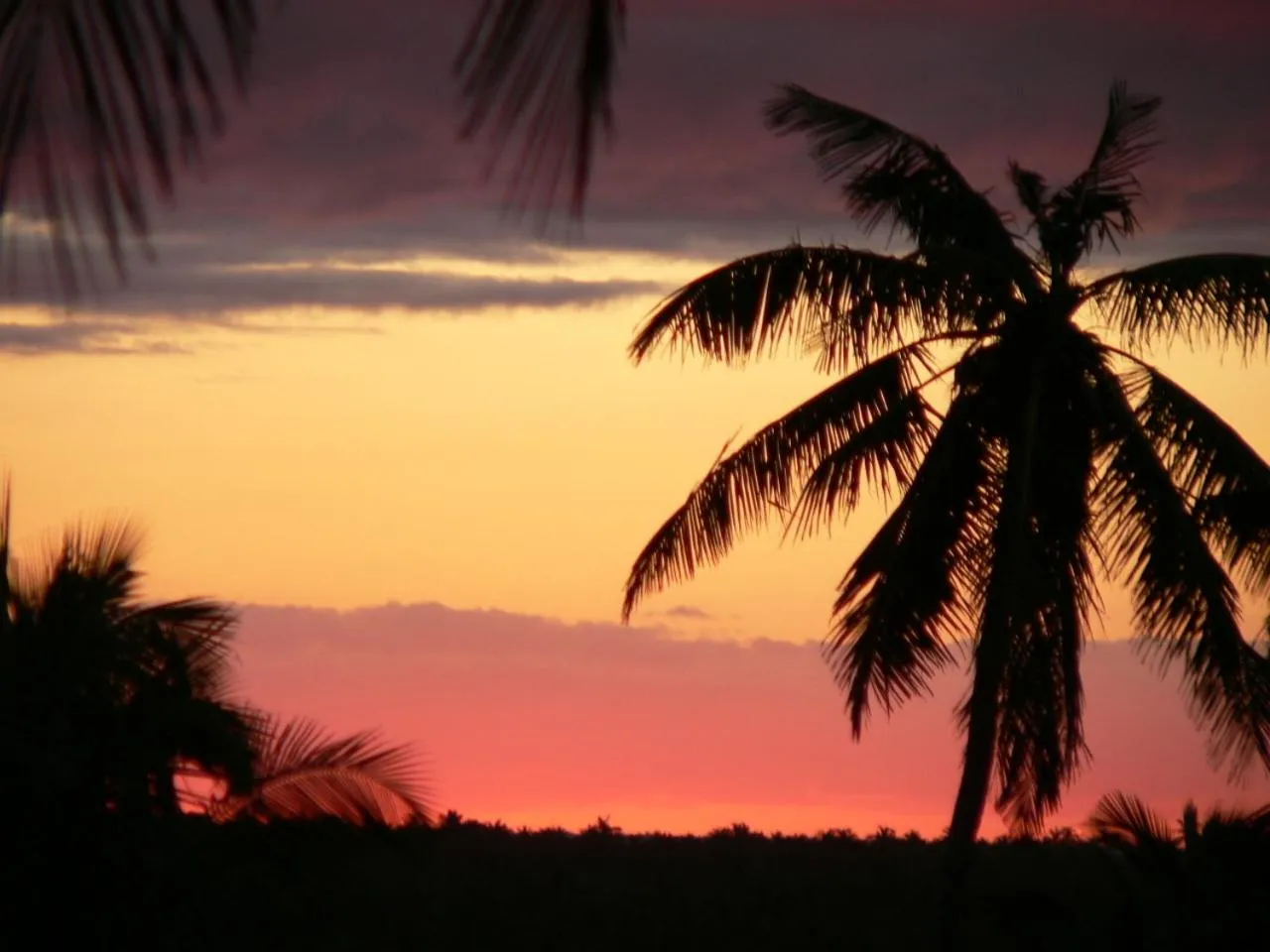 Night in Blue Moon Beach Holiday Resort