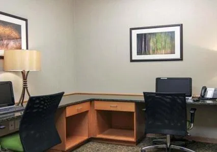 Business facilities in MainStay Suites Tioga