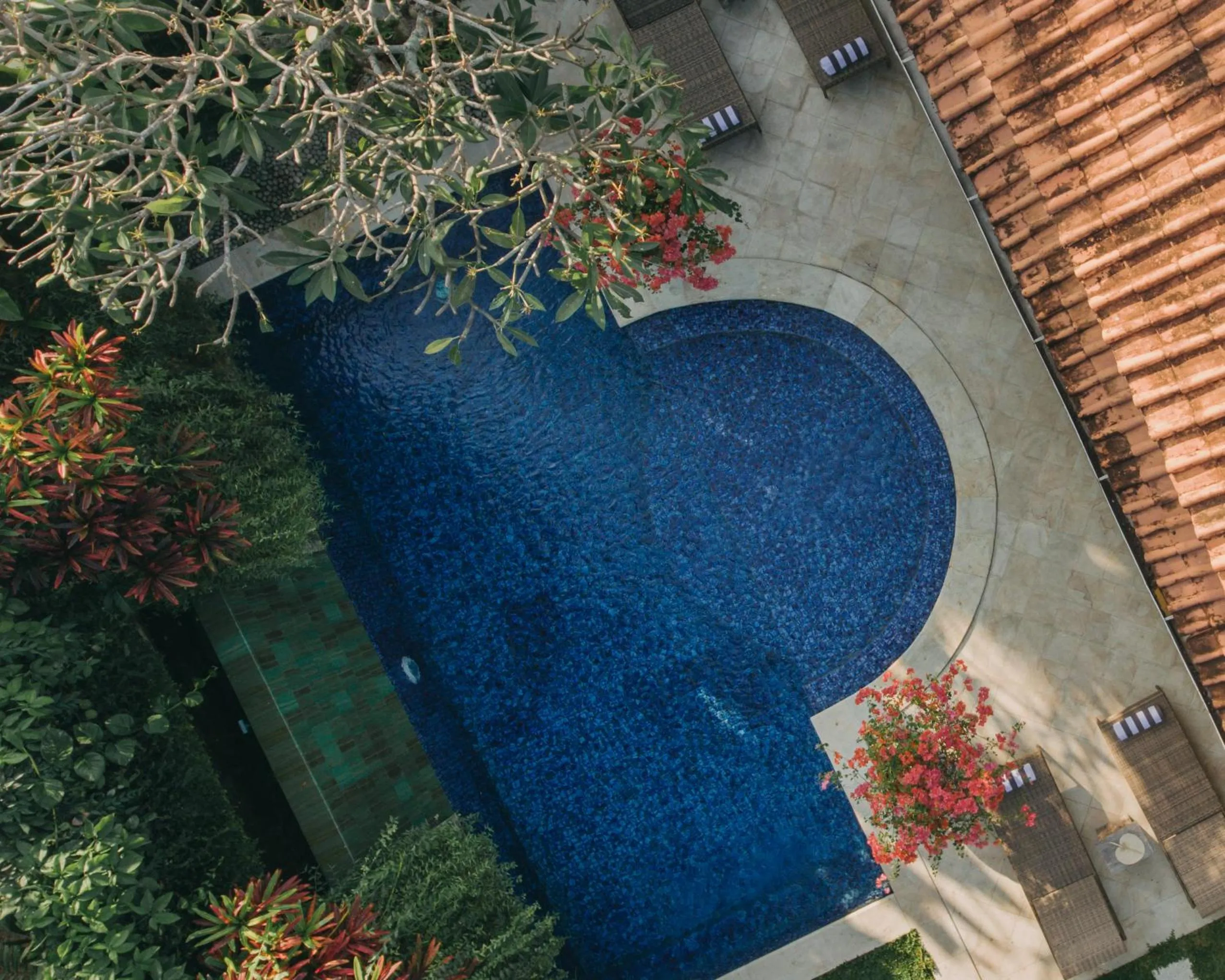 Swimming pool in Villa Eight