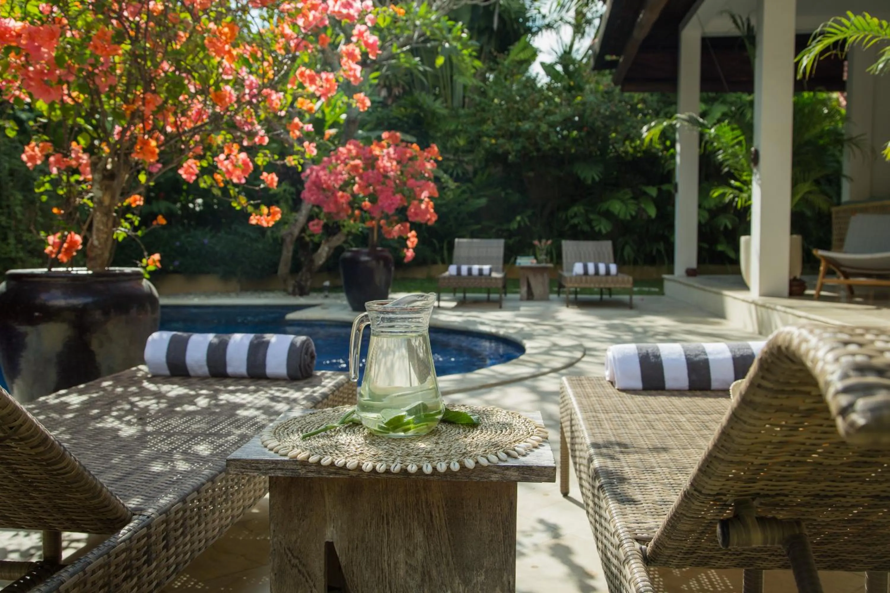 Garden in Villa Eight