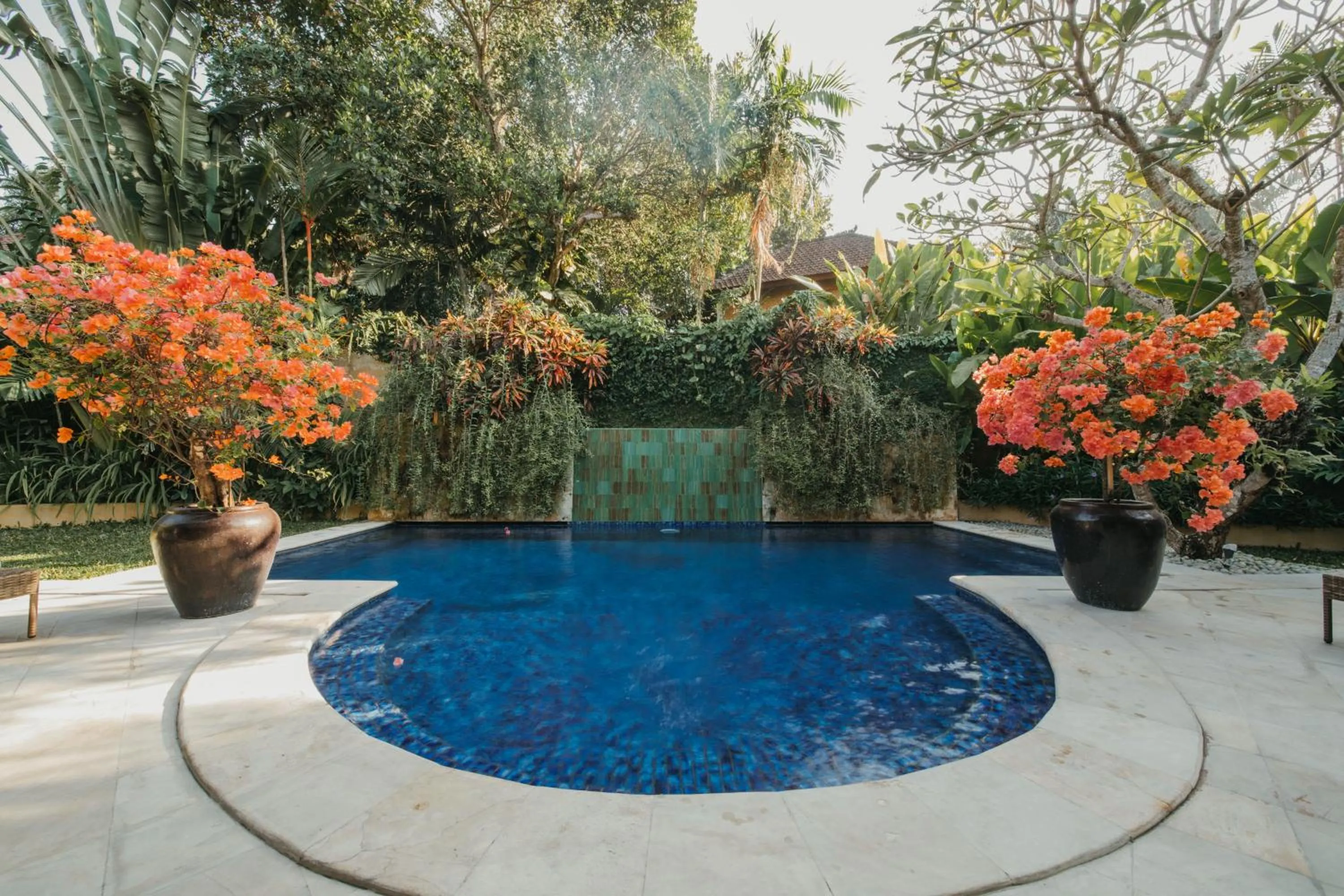 Garden in Villa Eight