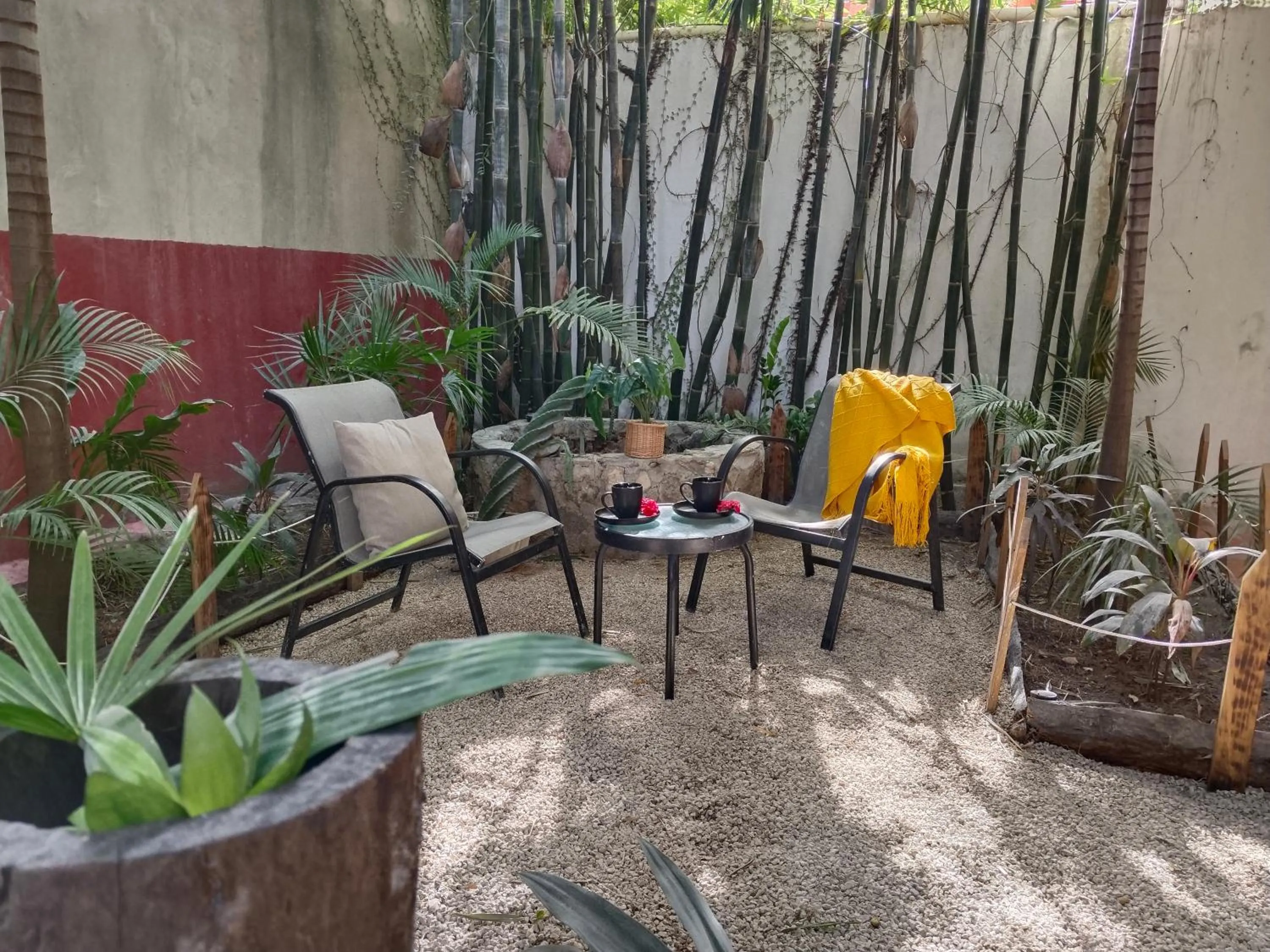 Patio in Casa Lupita