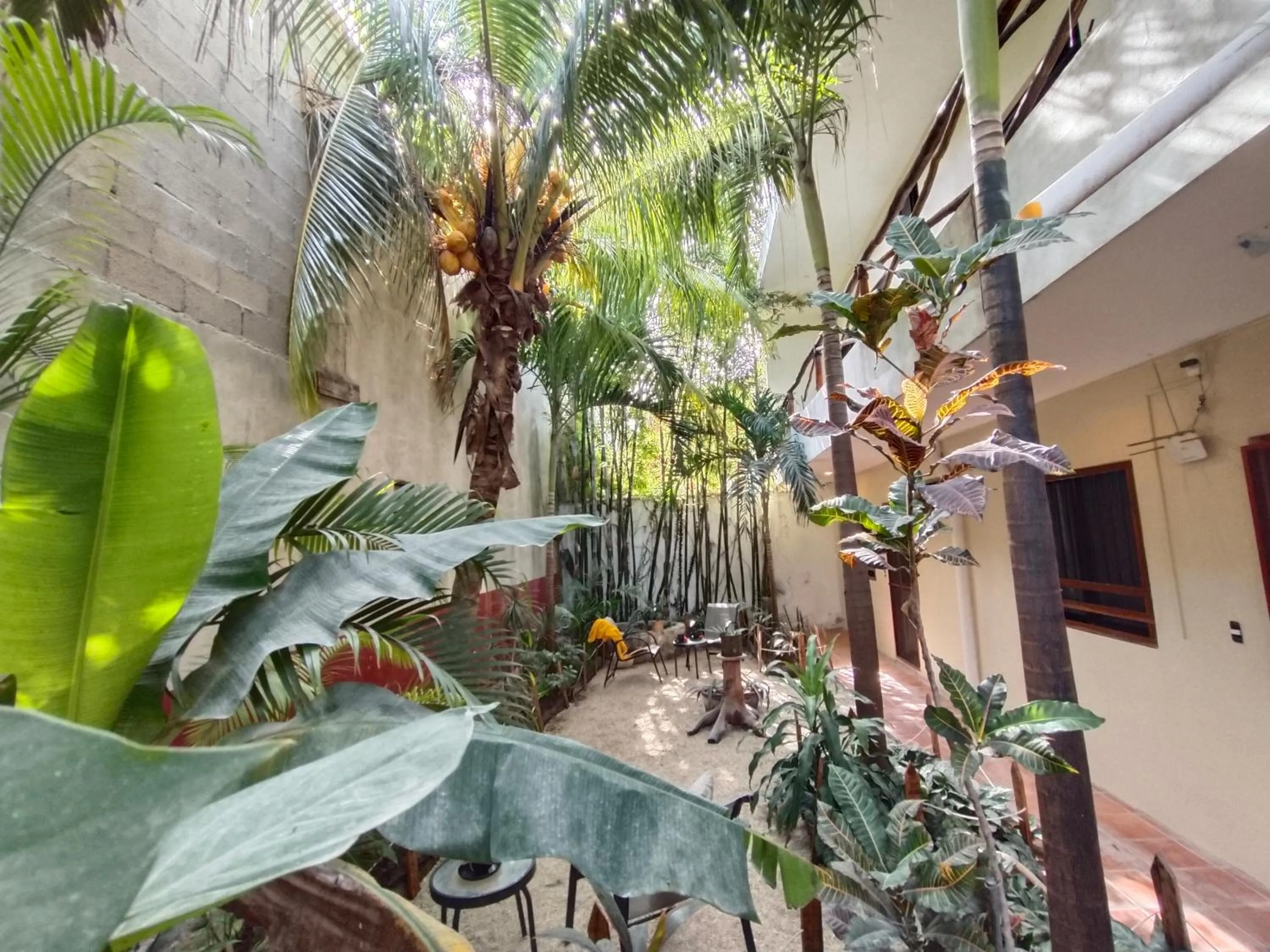 Patio in Casa Lupita