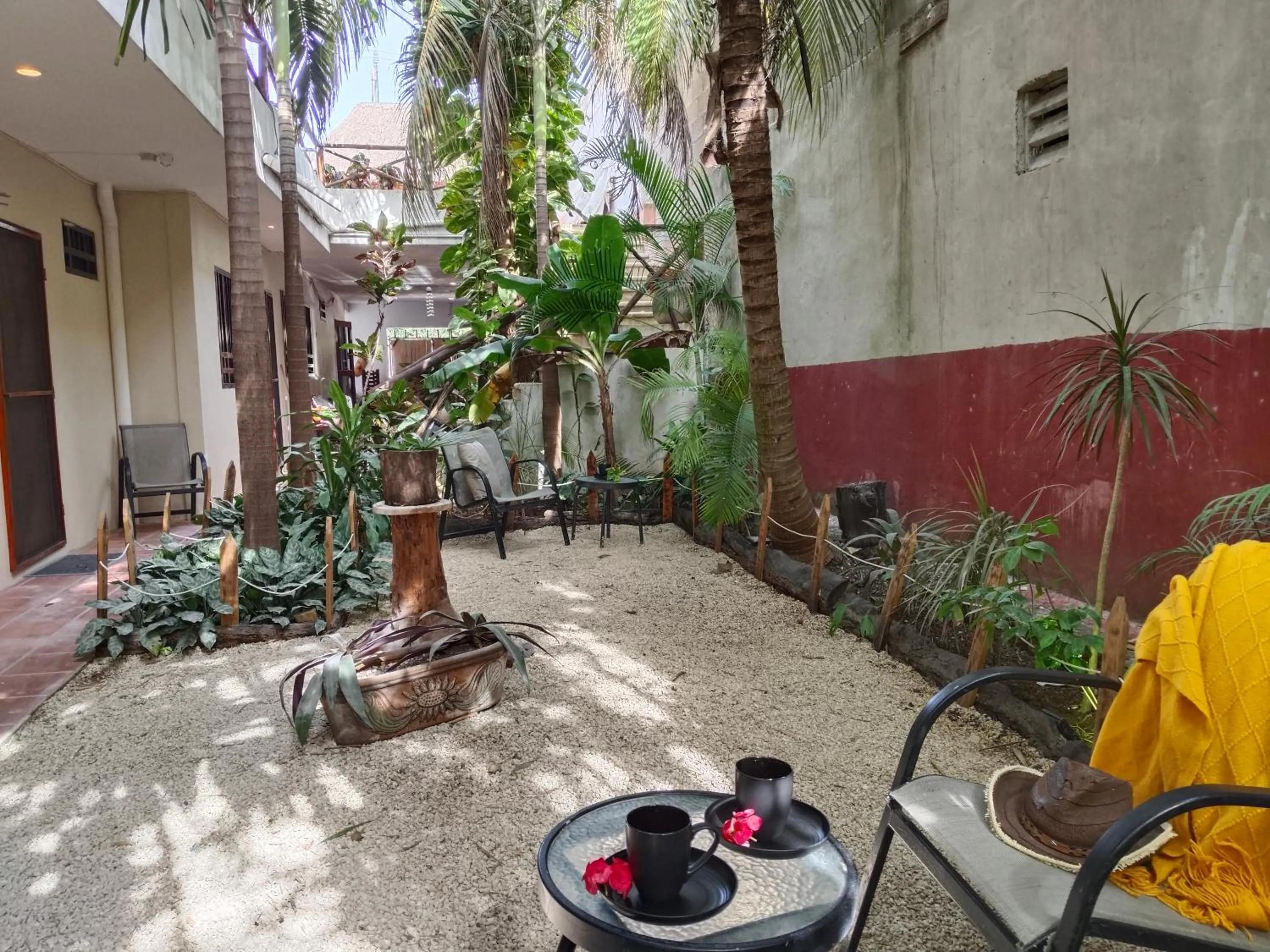 Patio in Casa Lupita