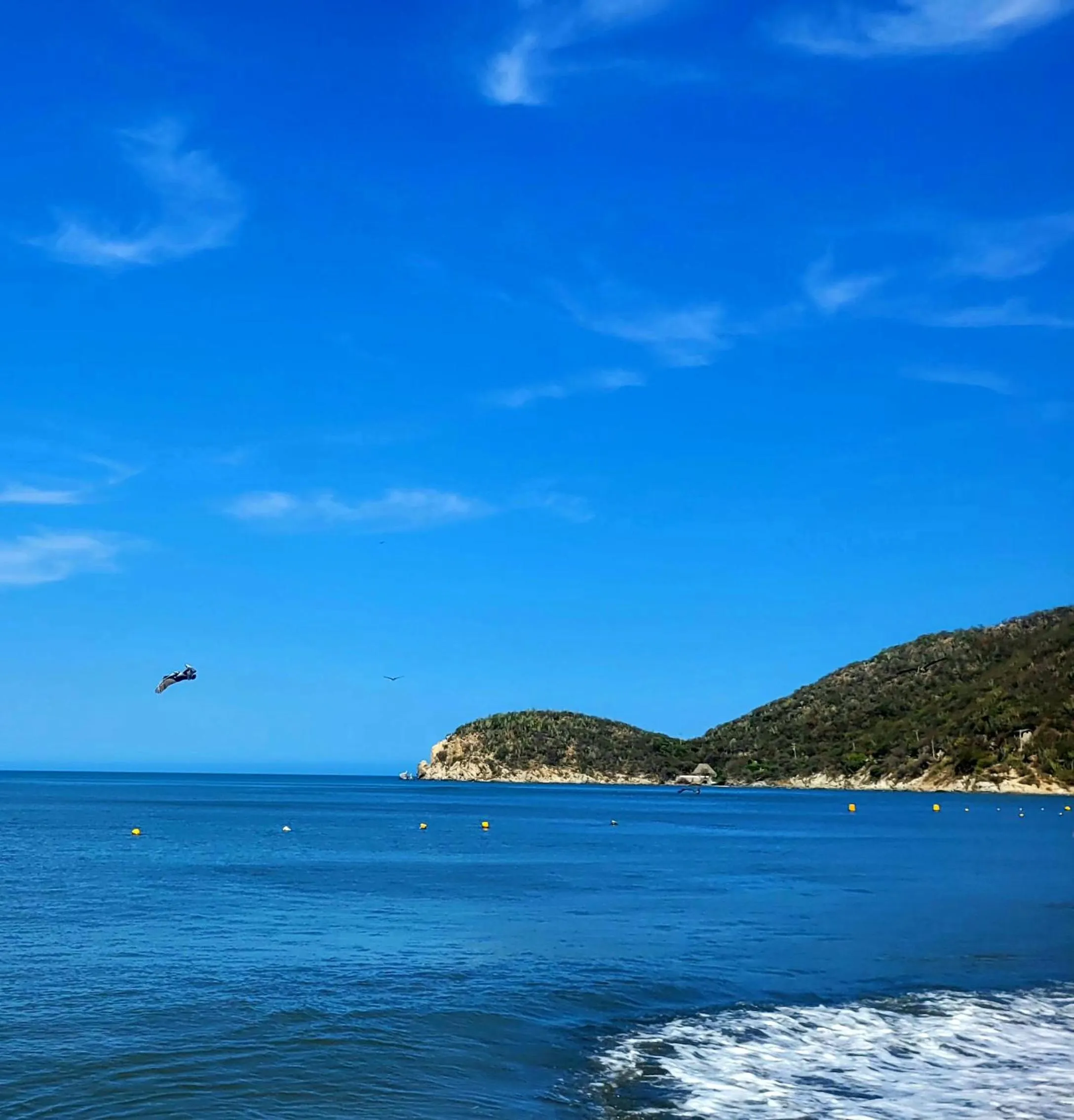 Sea view in Hotel Porto Horizonte suite 1426