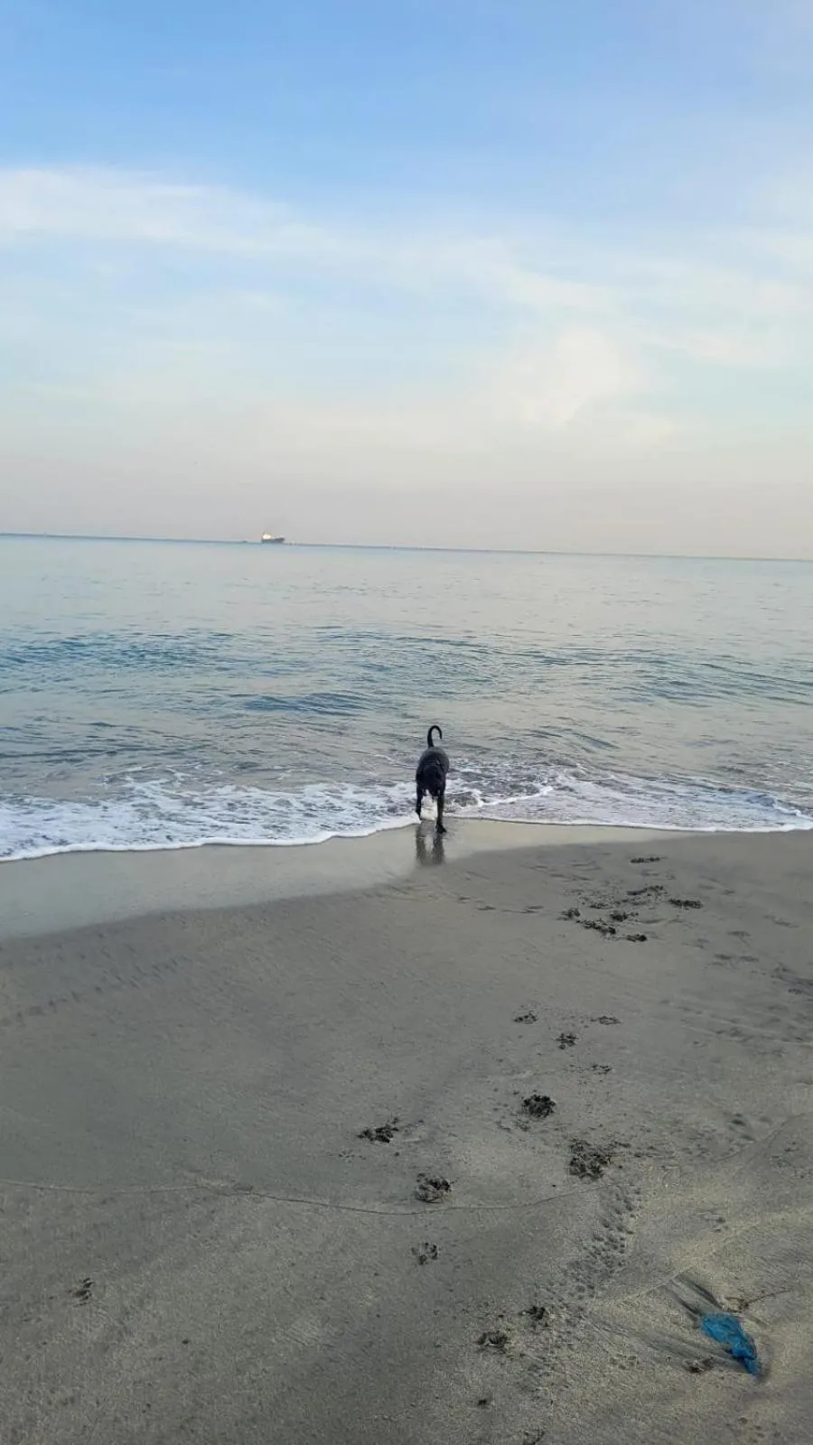 Day in Hotel Porto Horizonte suite 1426