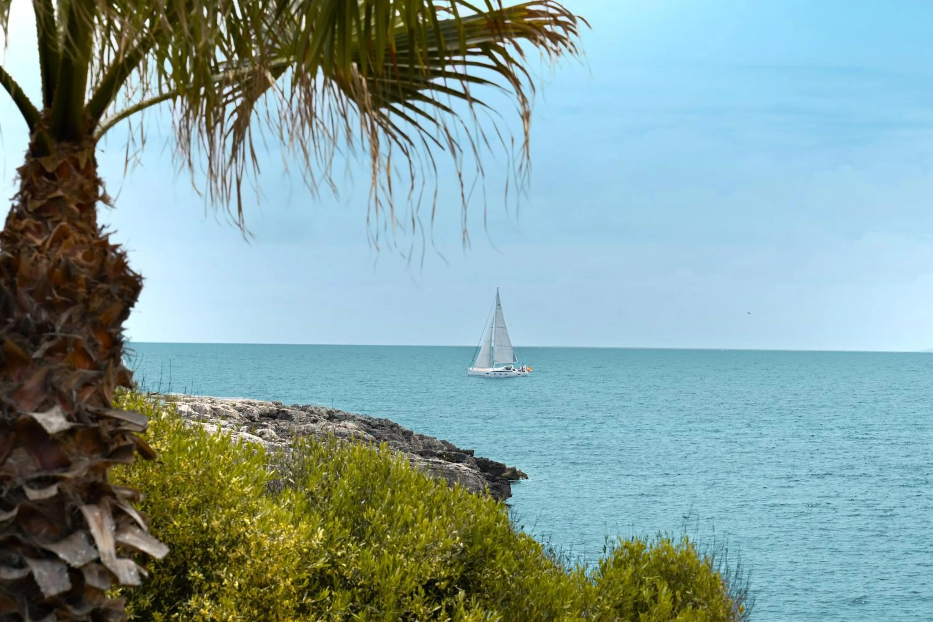 Natural landscape in Hotel Menorca Binibeca - Adults Recommended - by Pierre & Vacances Premium