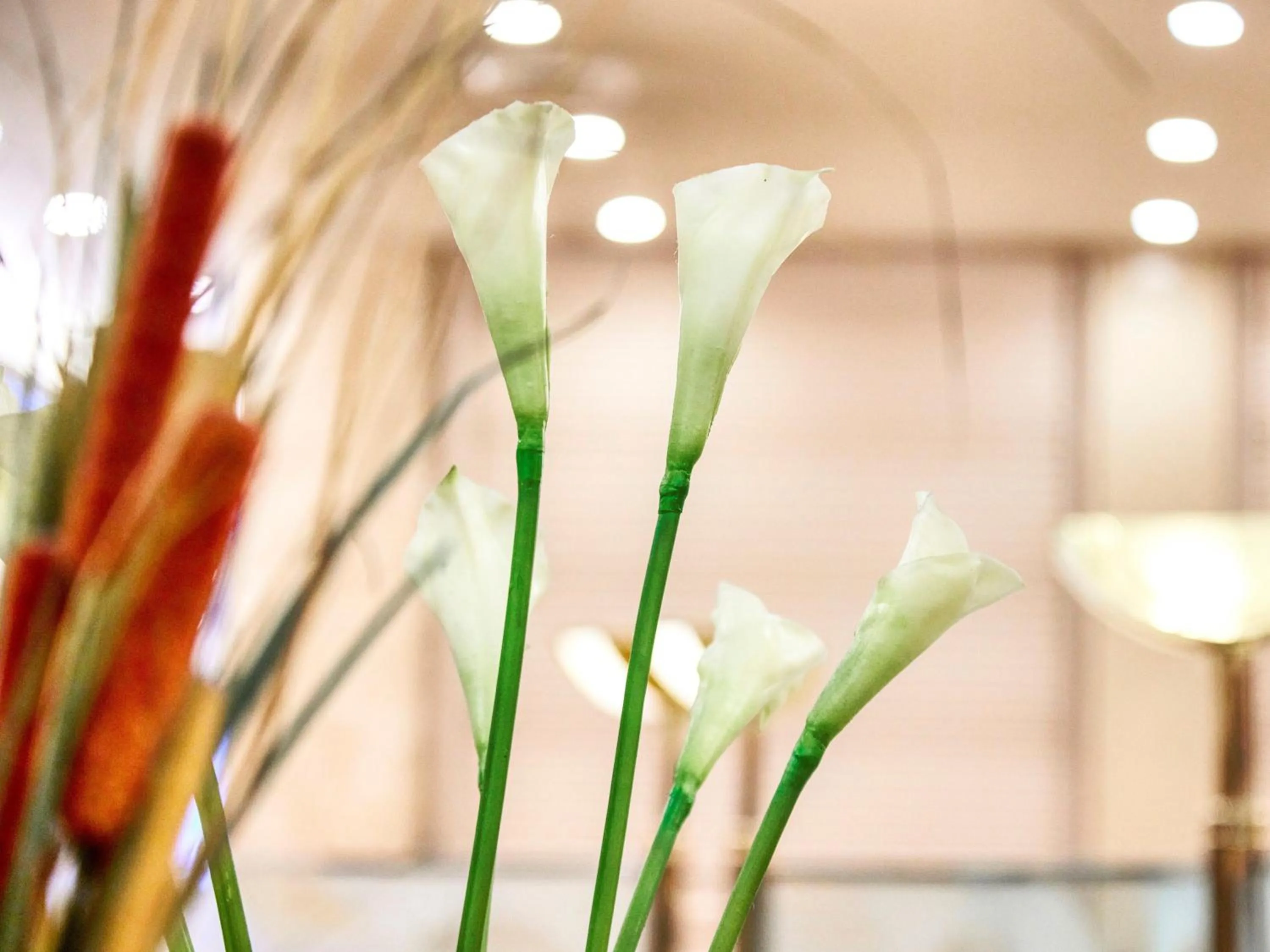 Lounge or bar in Royal Pines Hotel Chiba