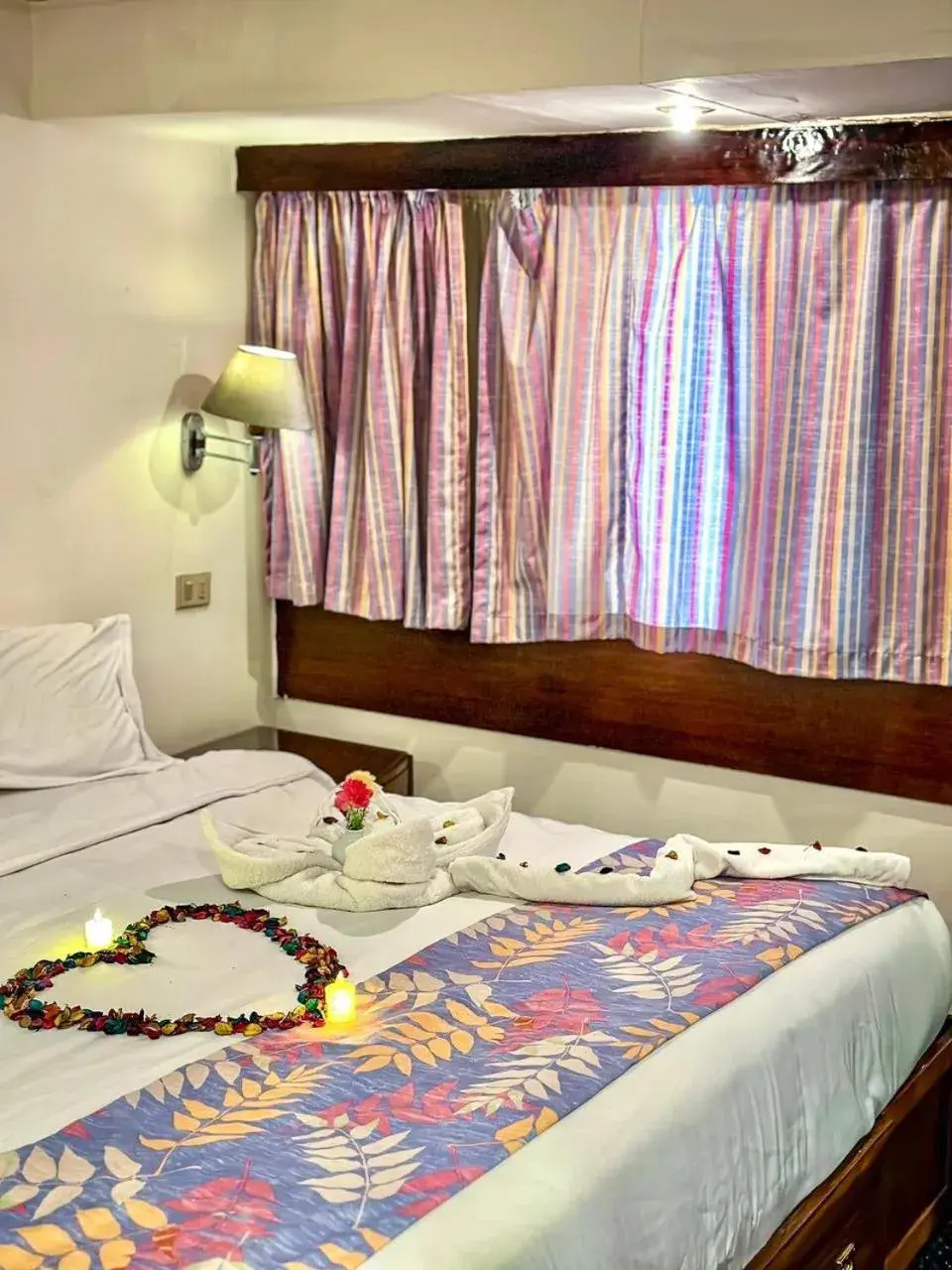 Single Room in Nile View Aton Cruise Single Room in Nile View Aton Cruise