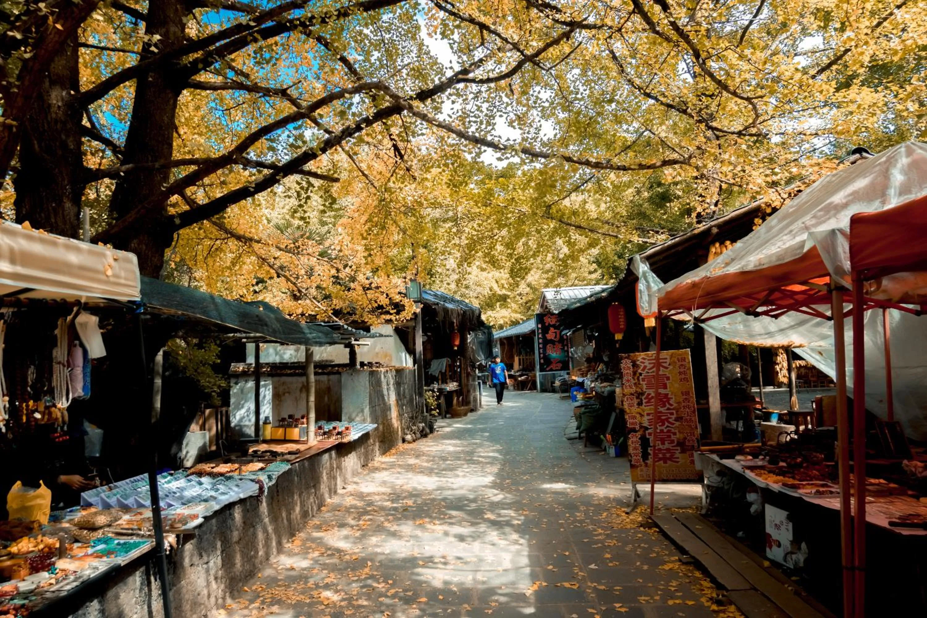 Nearby landmark in Lijiang Old Town Echarm Plus Hotel