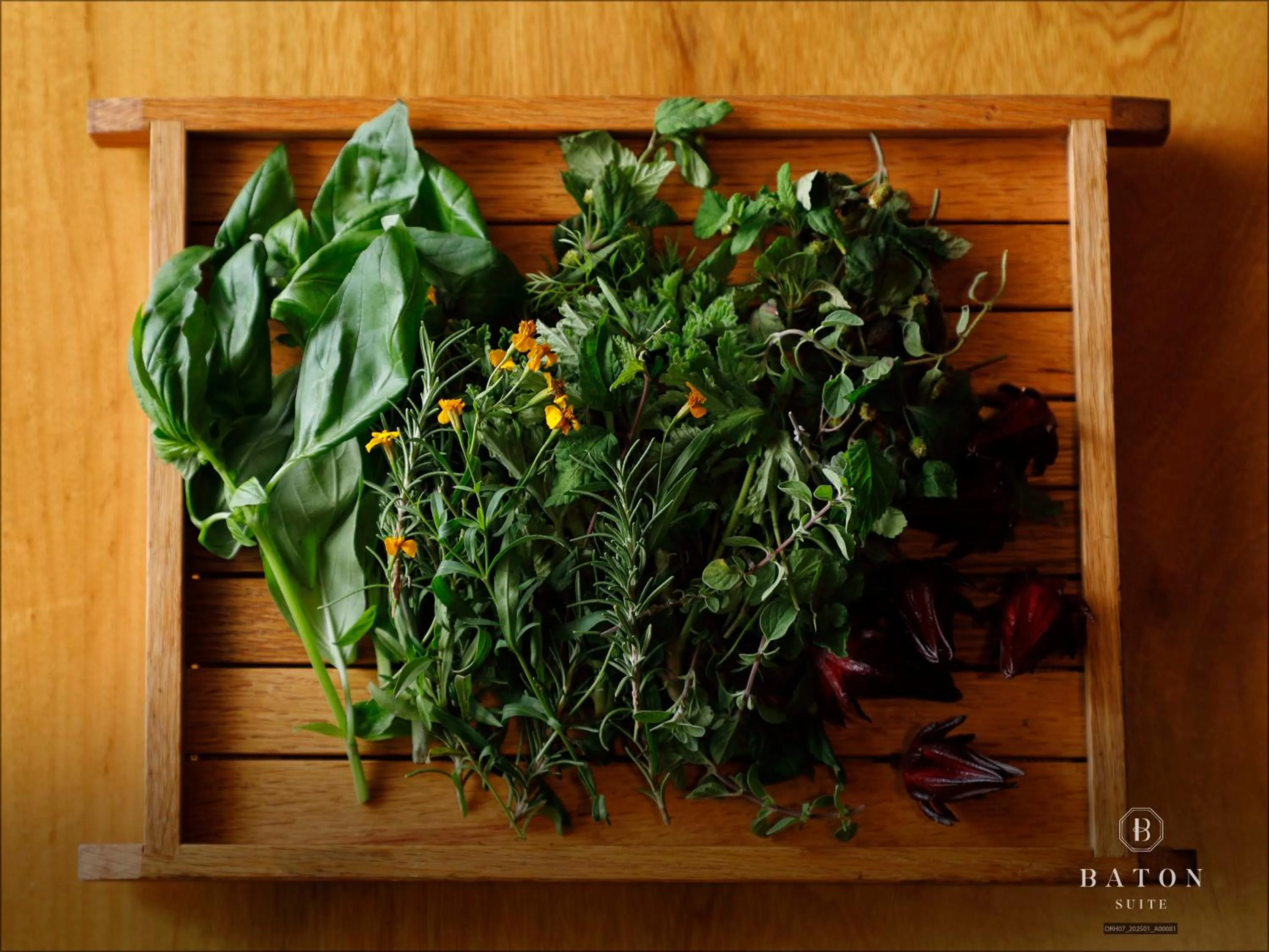 Restaurant/places to eat in BATON SUITE Okinawa-kourijima