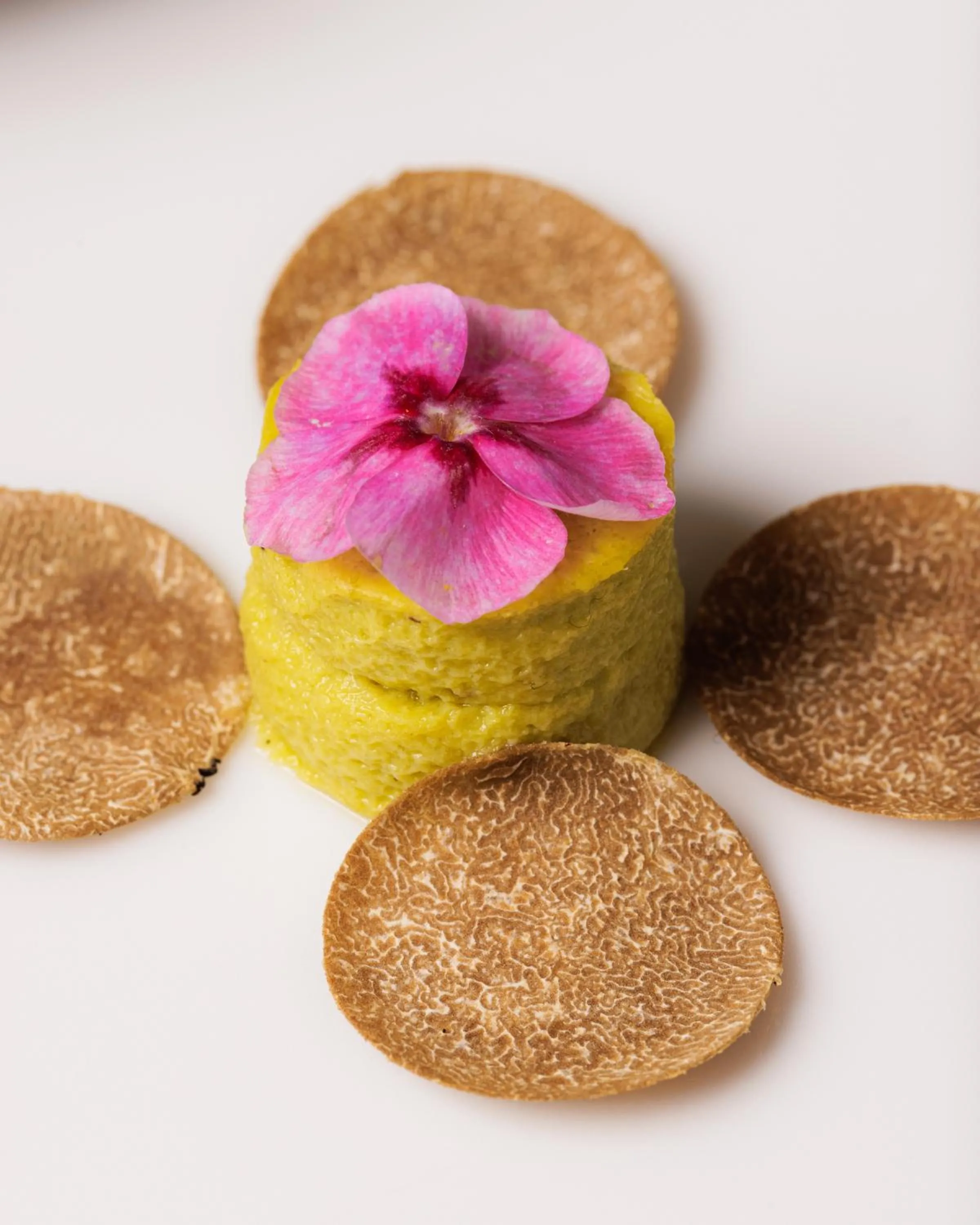 Restaurant/places to eat in Vetera Matera