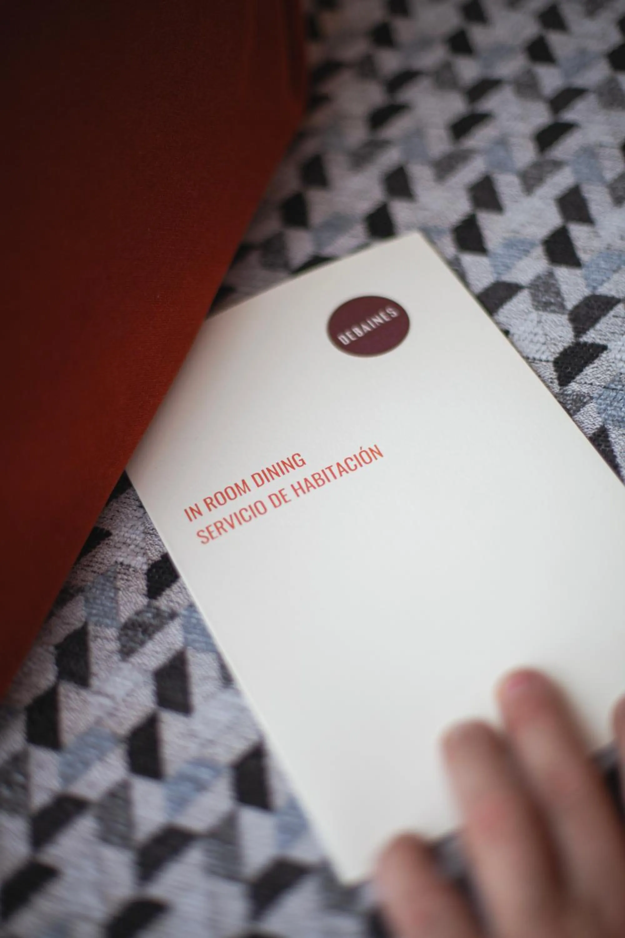 View (from property/room) in Debaines Hotel Santiago