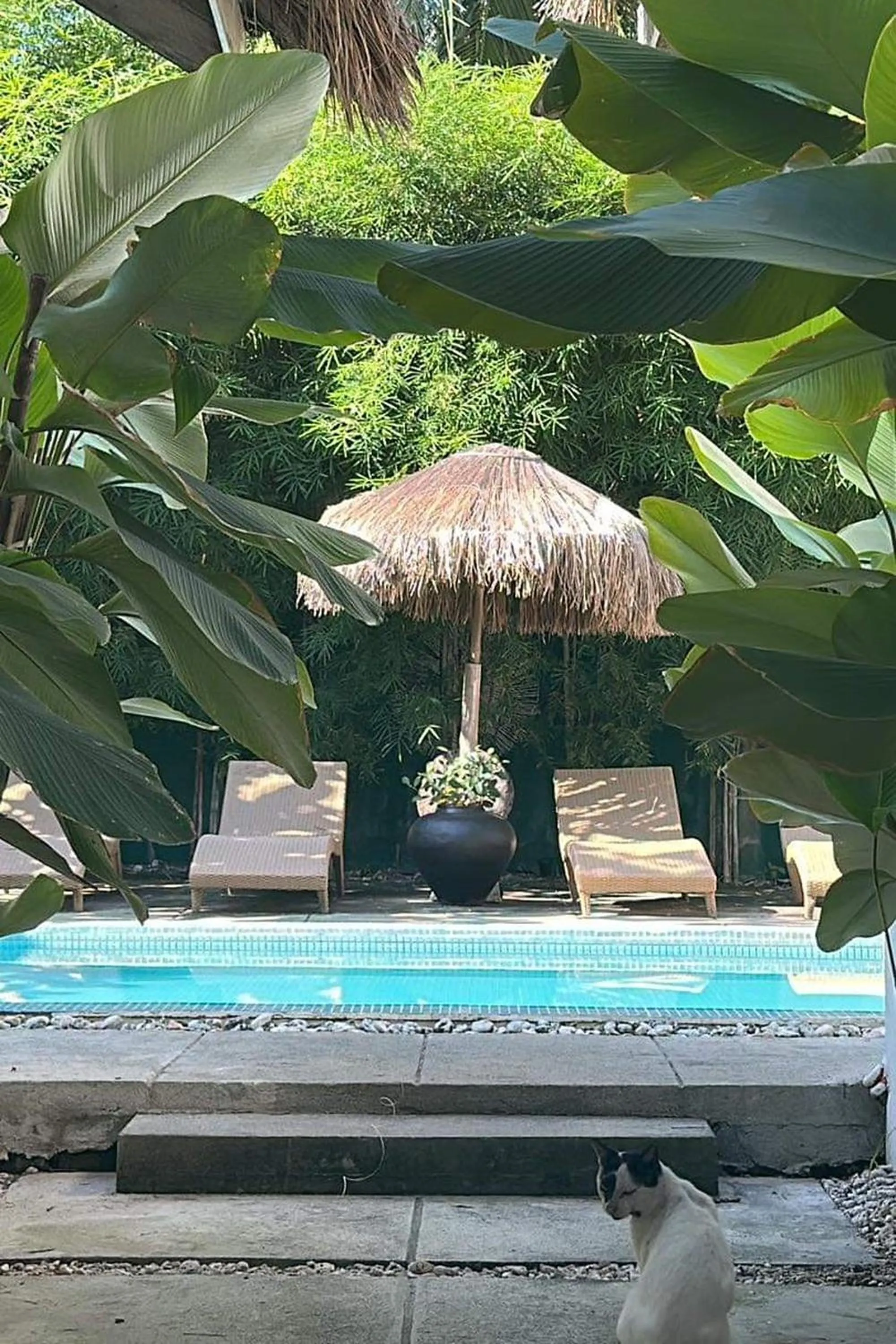 Pool view in Sirom Beach House