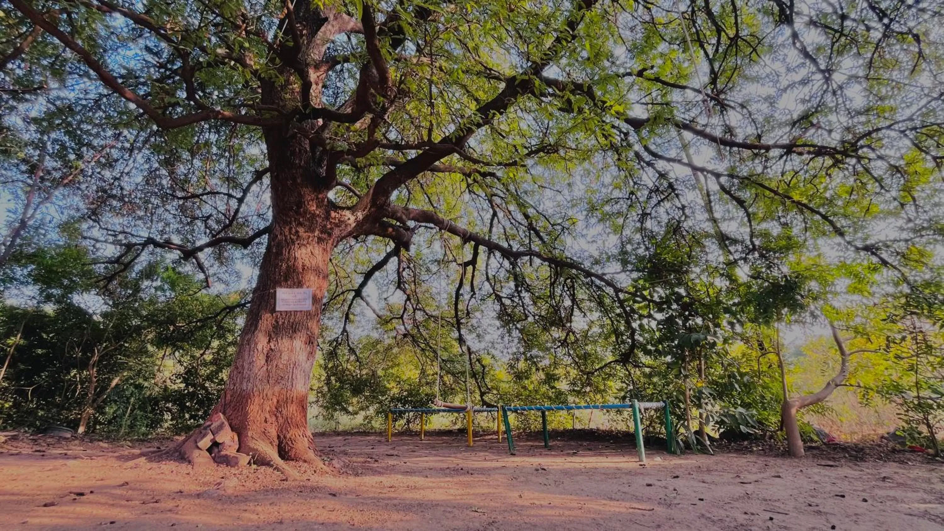 Spring in YUGANNKURR farmhouse