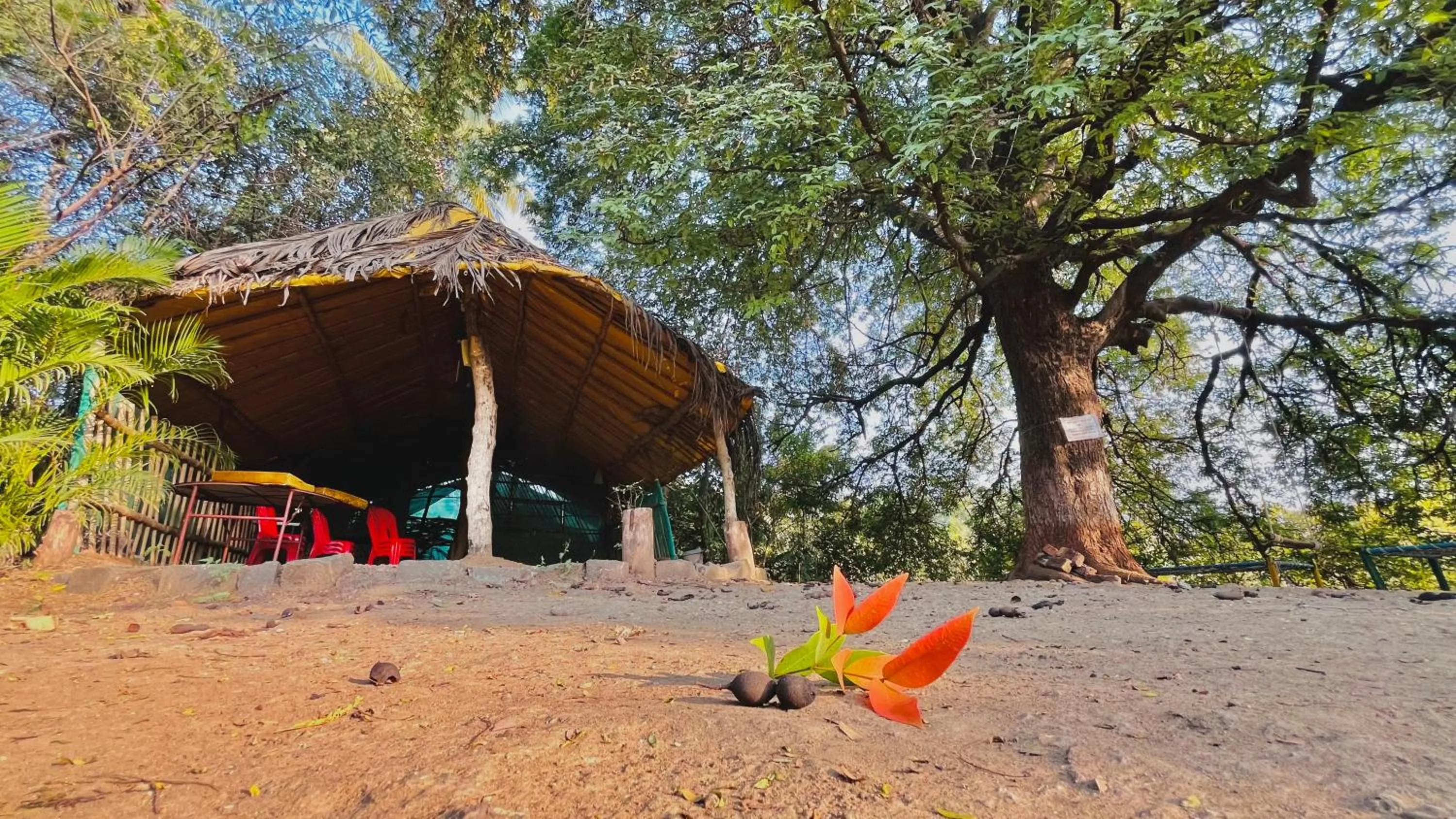 Spring in YUGANNKURR farmhouse