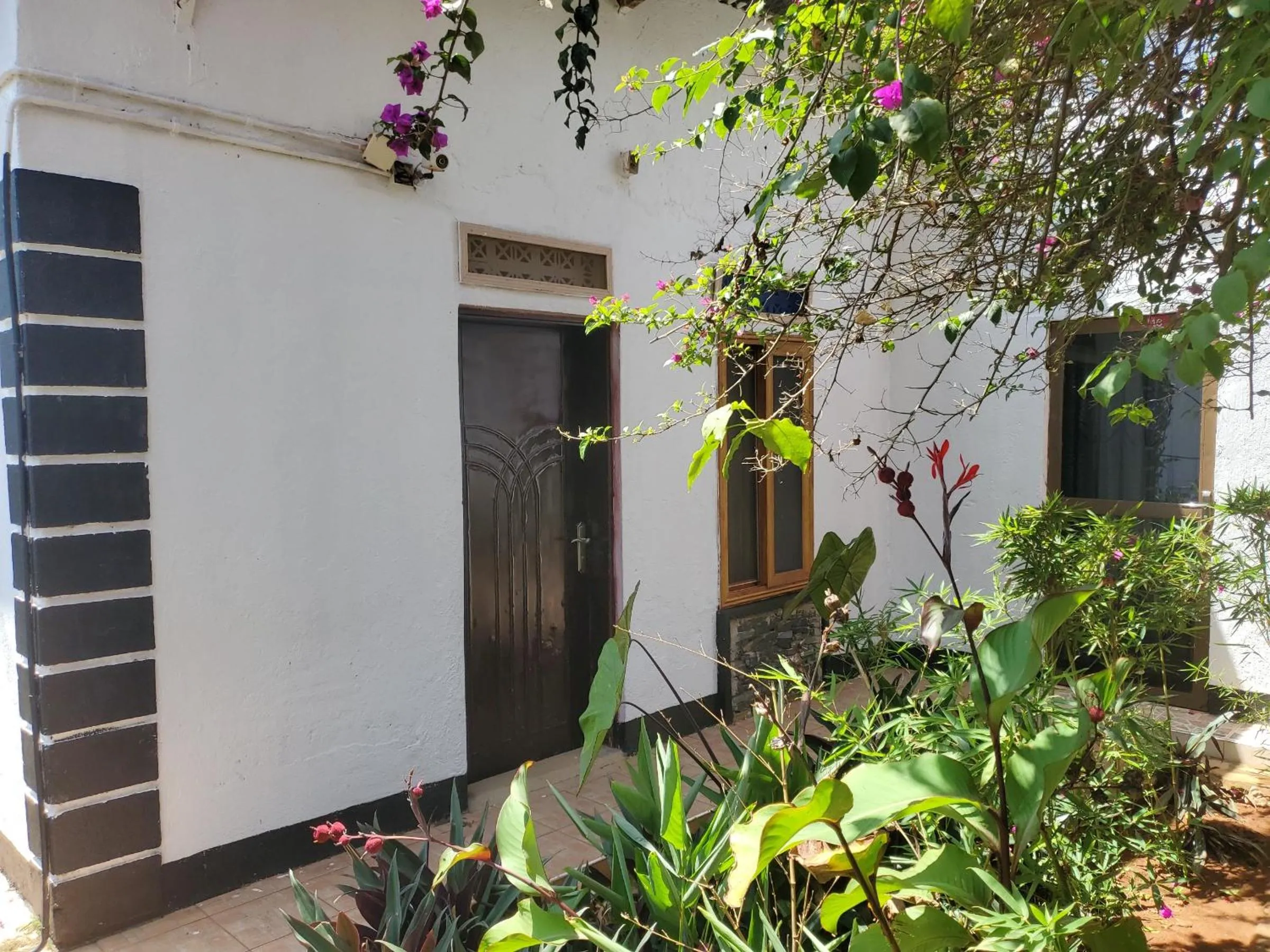 Property building in Gorilla African Guest House