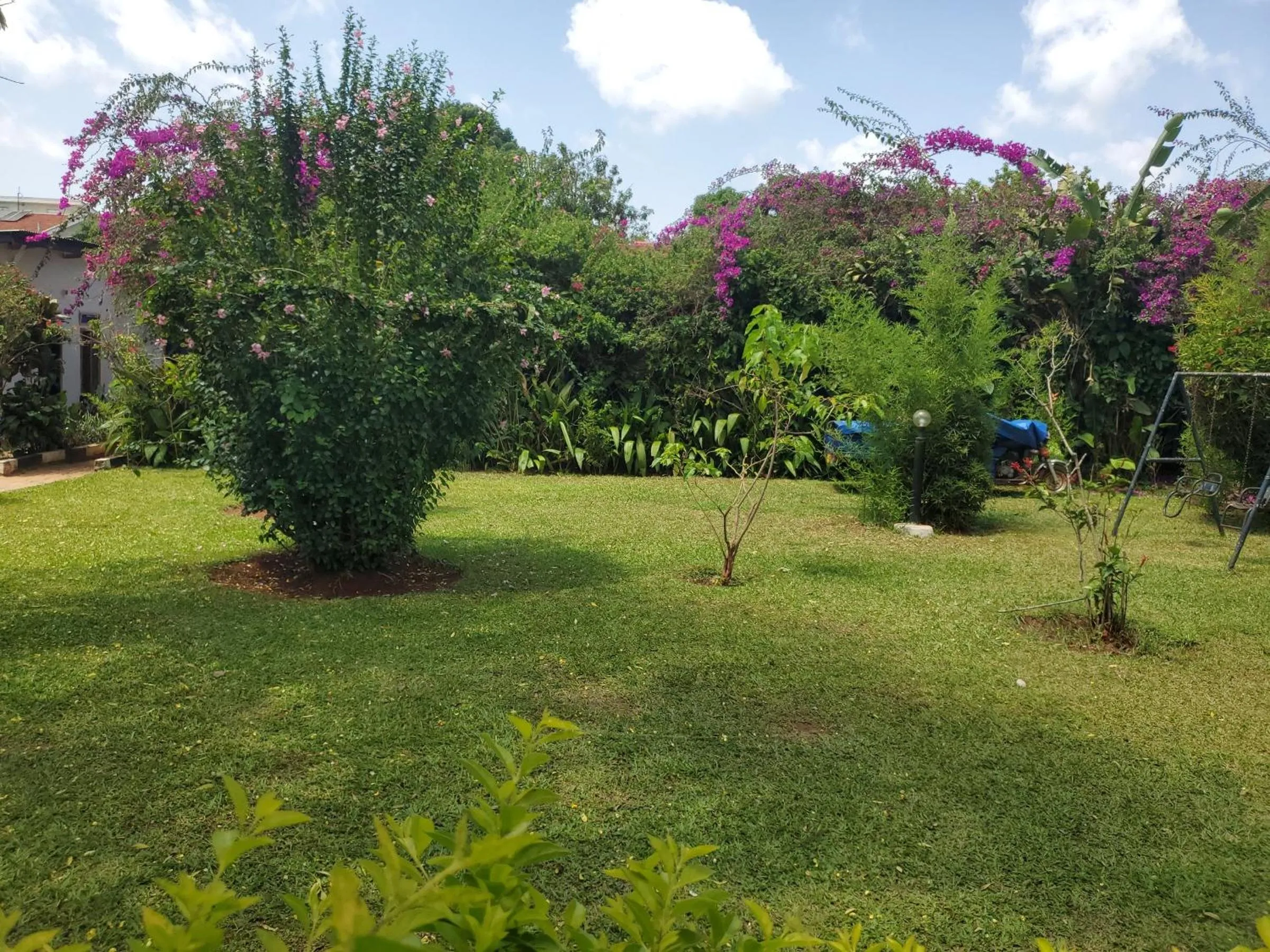 Day in Gorilla African Guest House