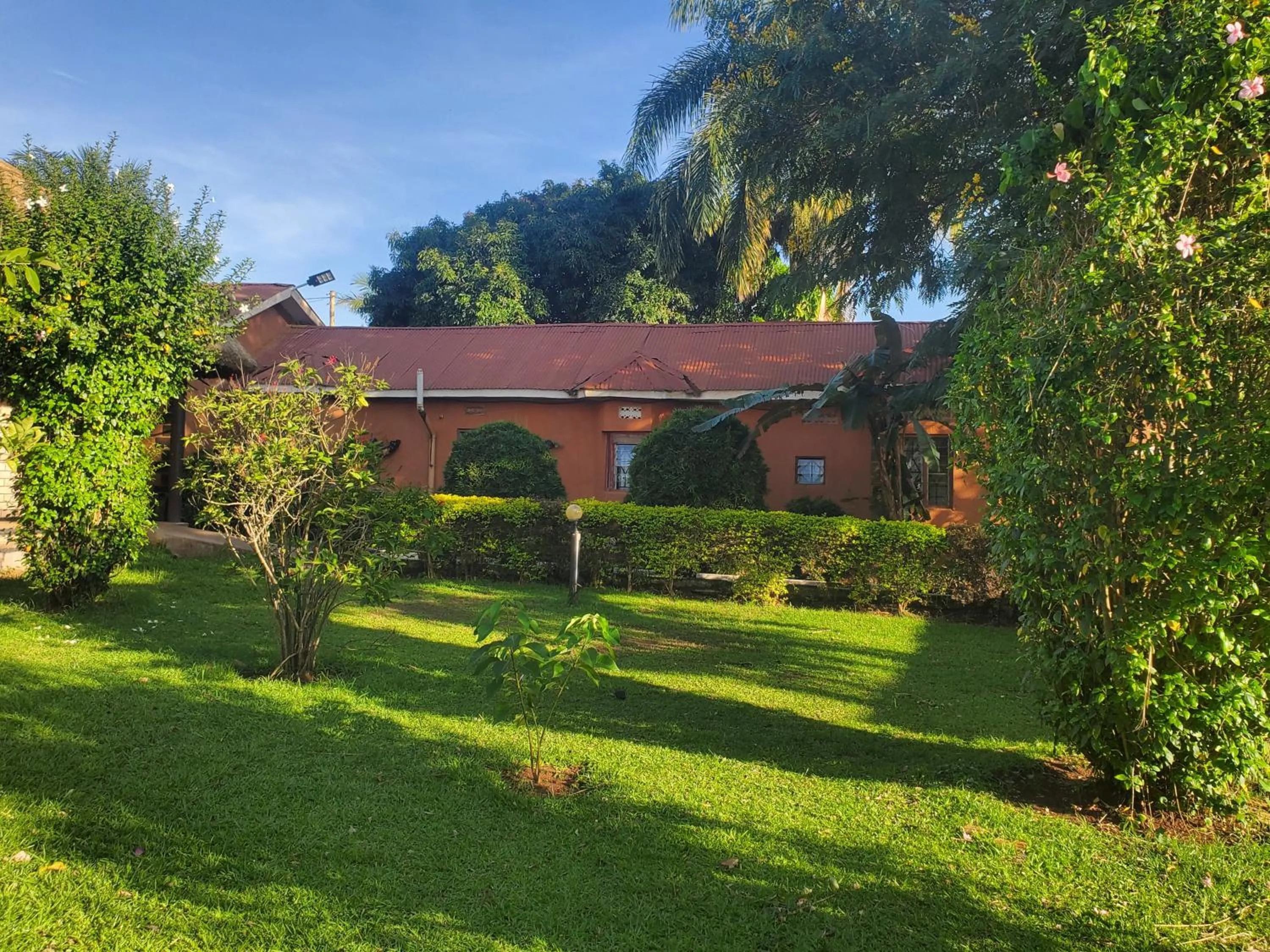 Property building in Gorilla African Guest House