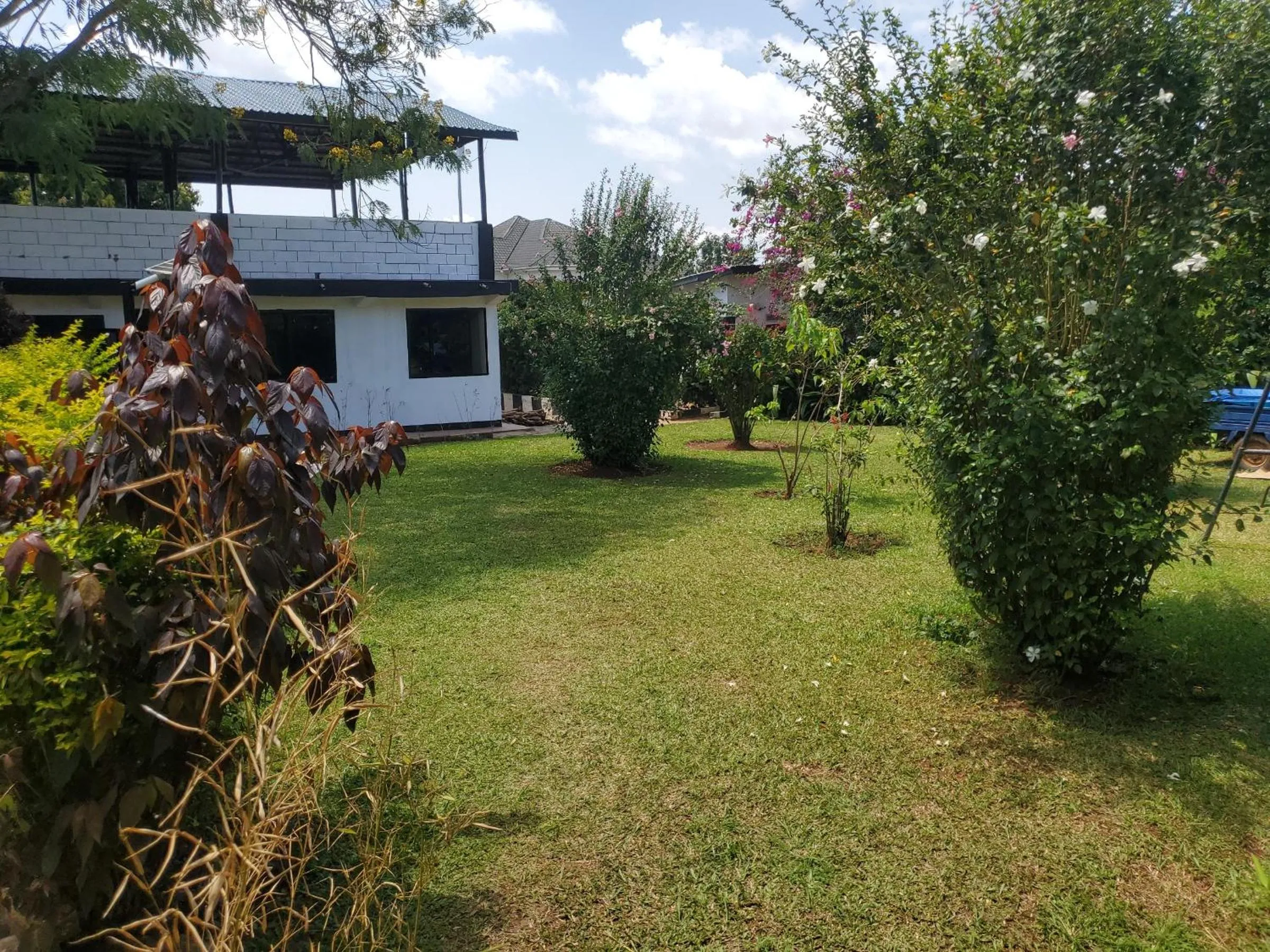 Property building in Gorilla African Guest House