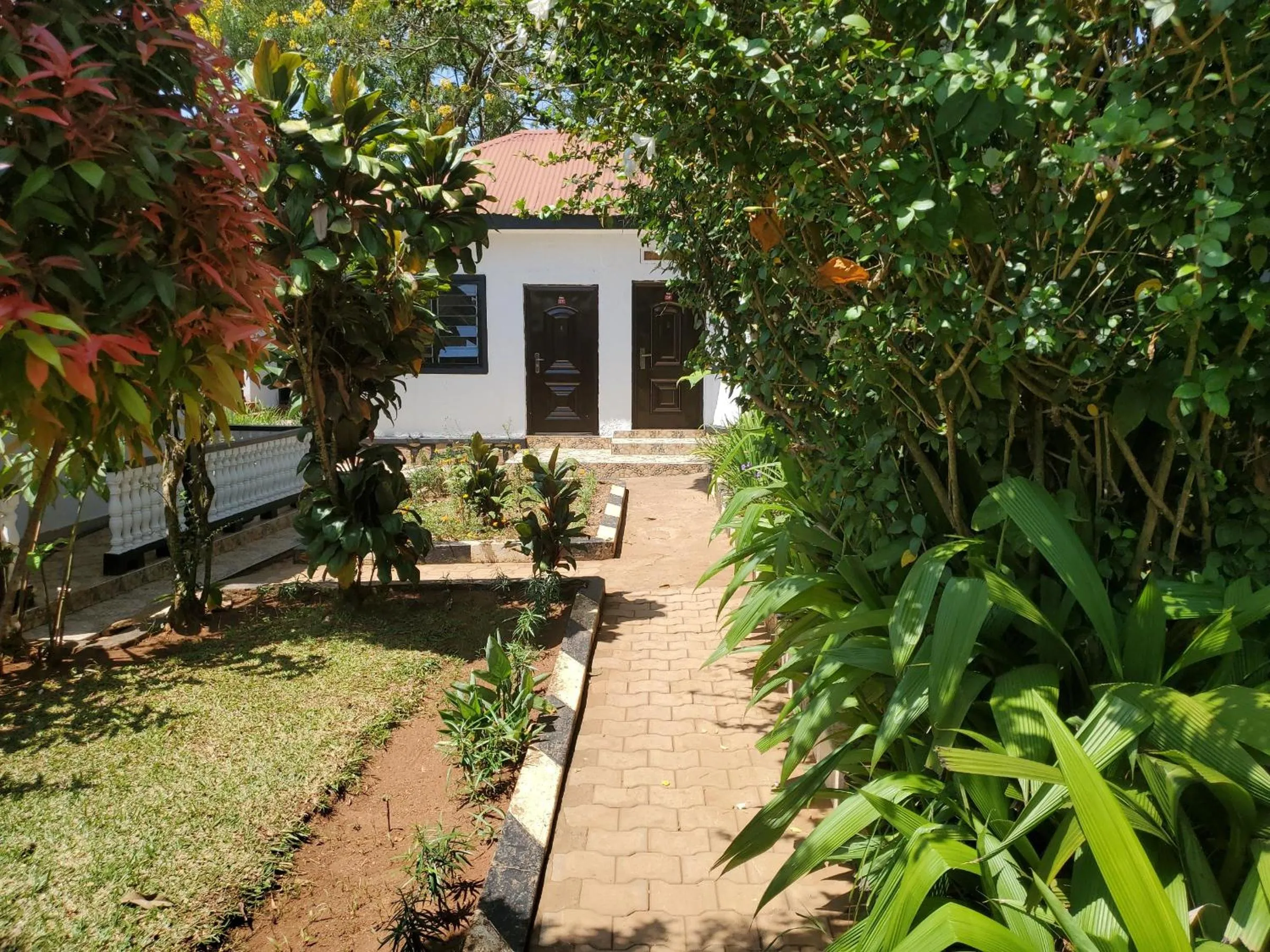 Property building in Gorilla African Guest House