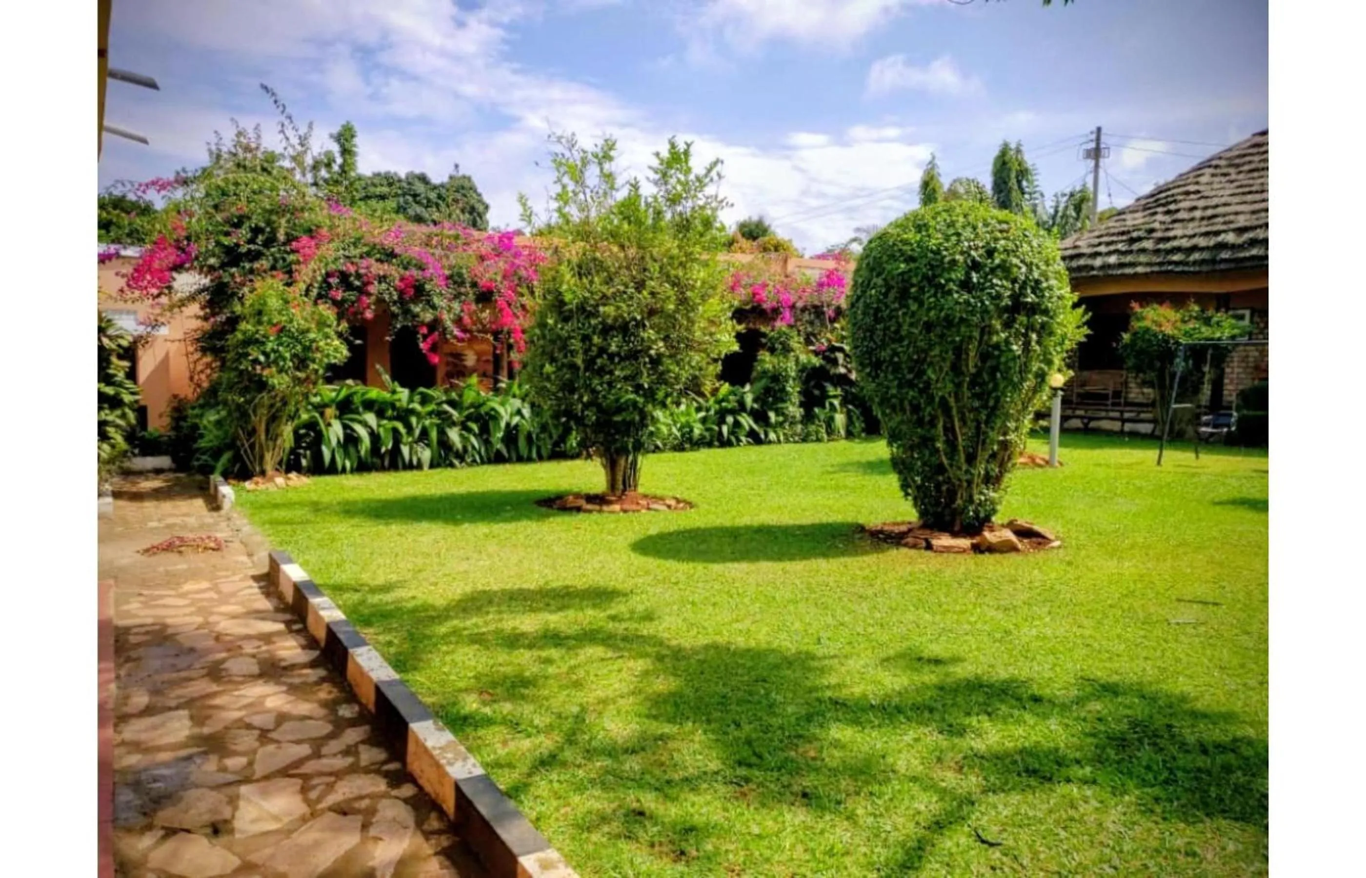 Day in Gorilla African Guest House