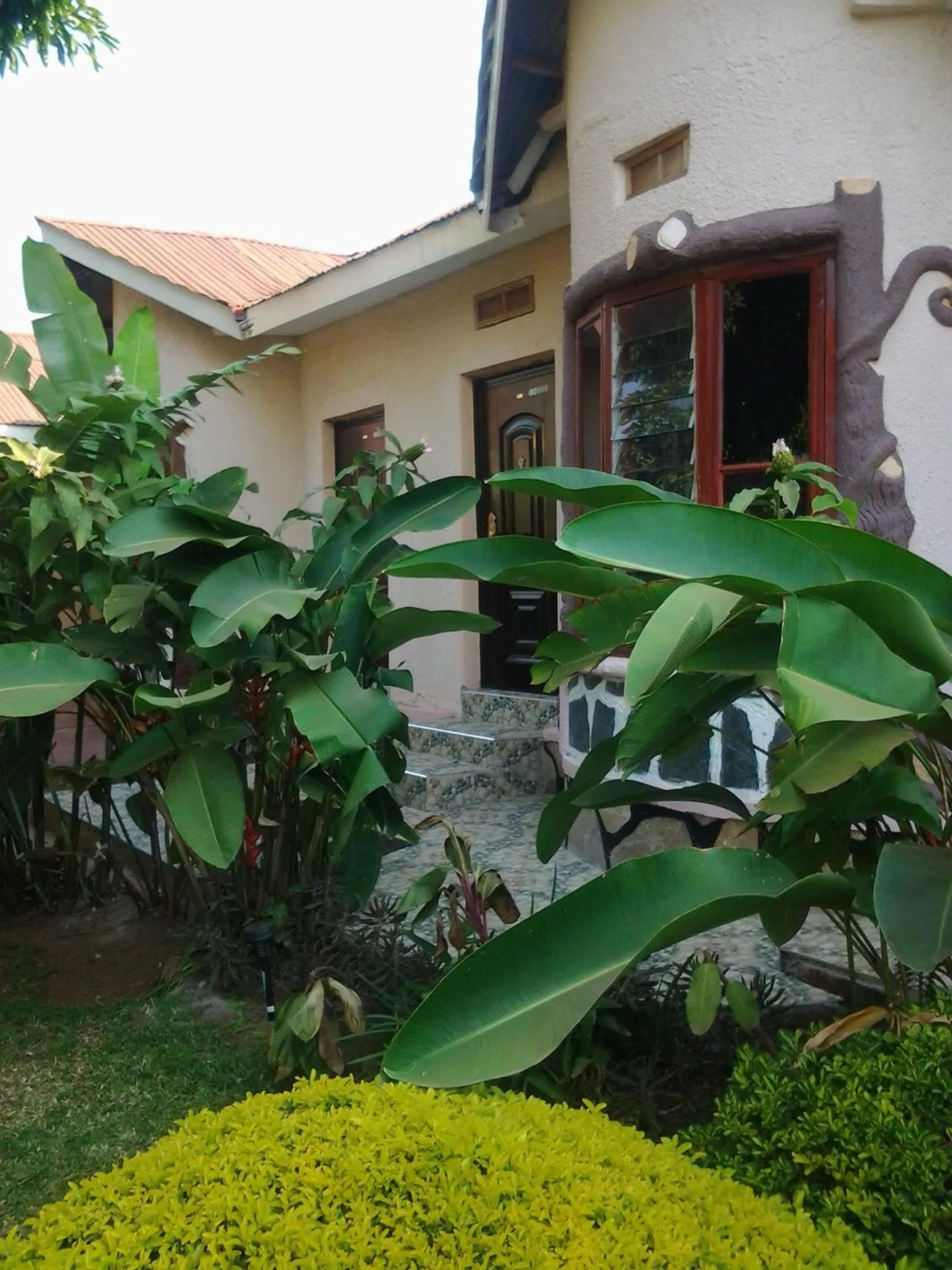 Facade/entrance in Gorilla African Guest House