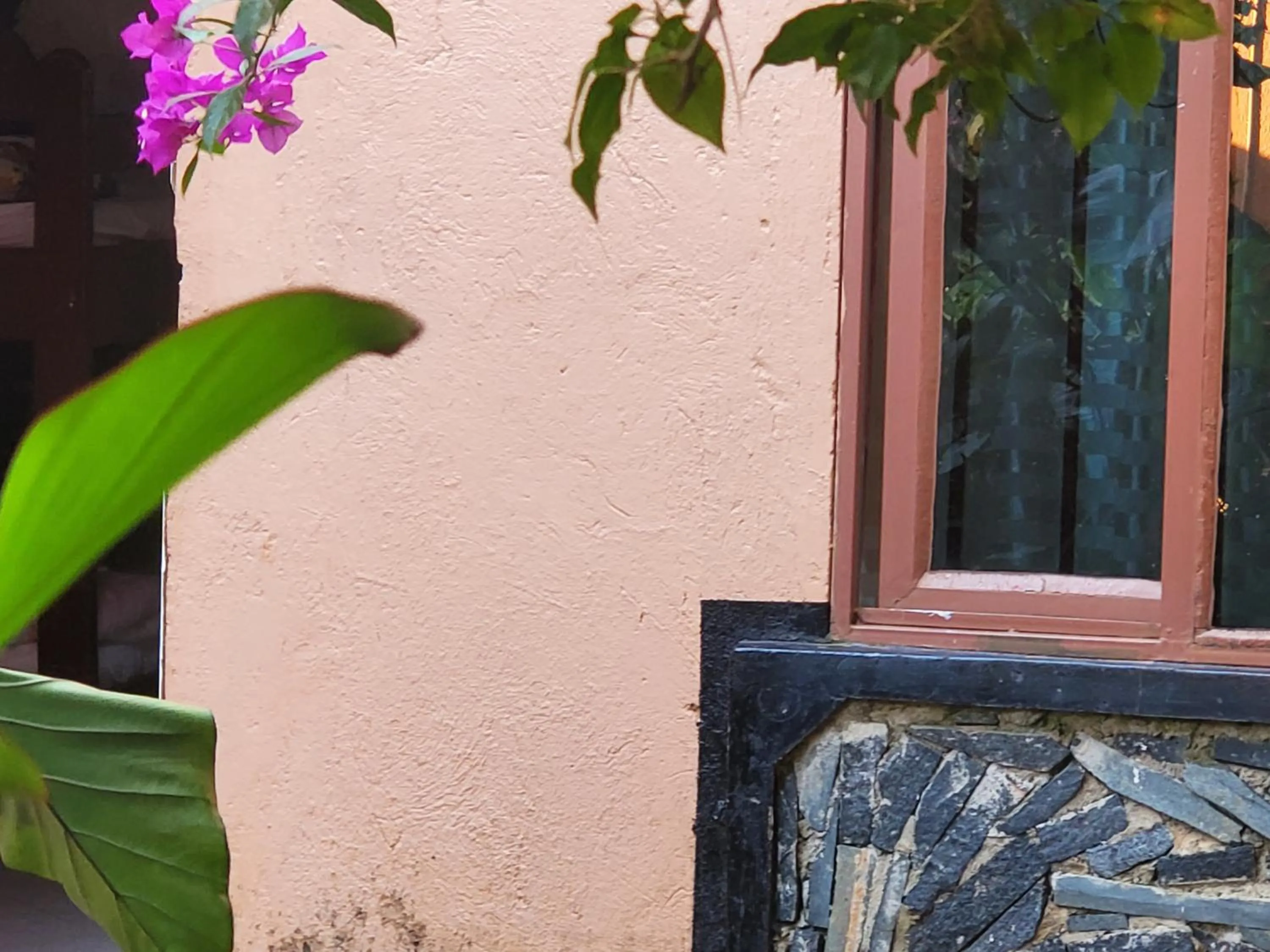 Property building in Gorilla African Guest House