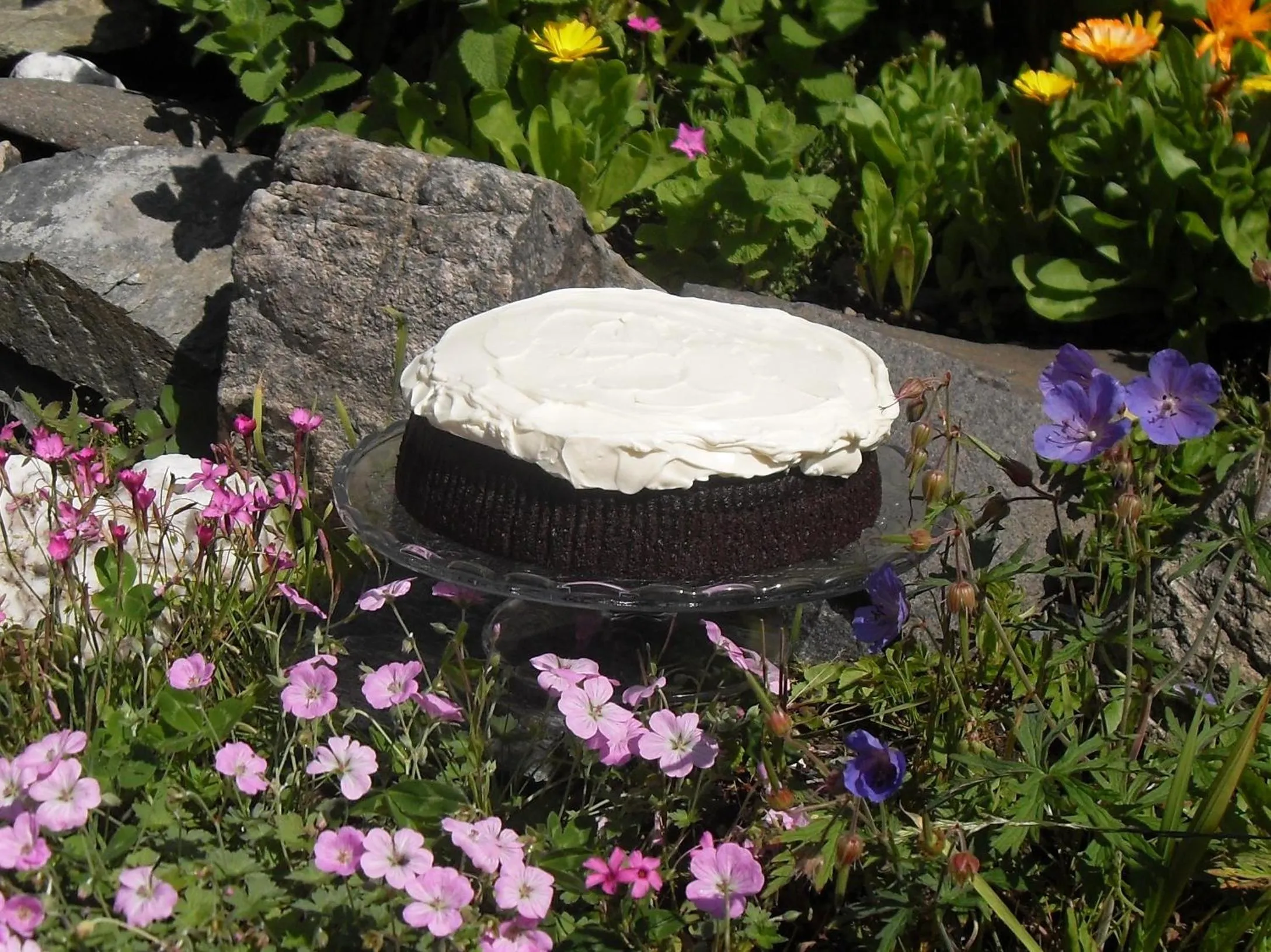 Food and drinks in Burnside Lodge