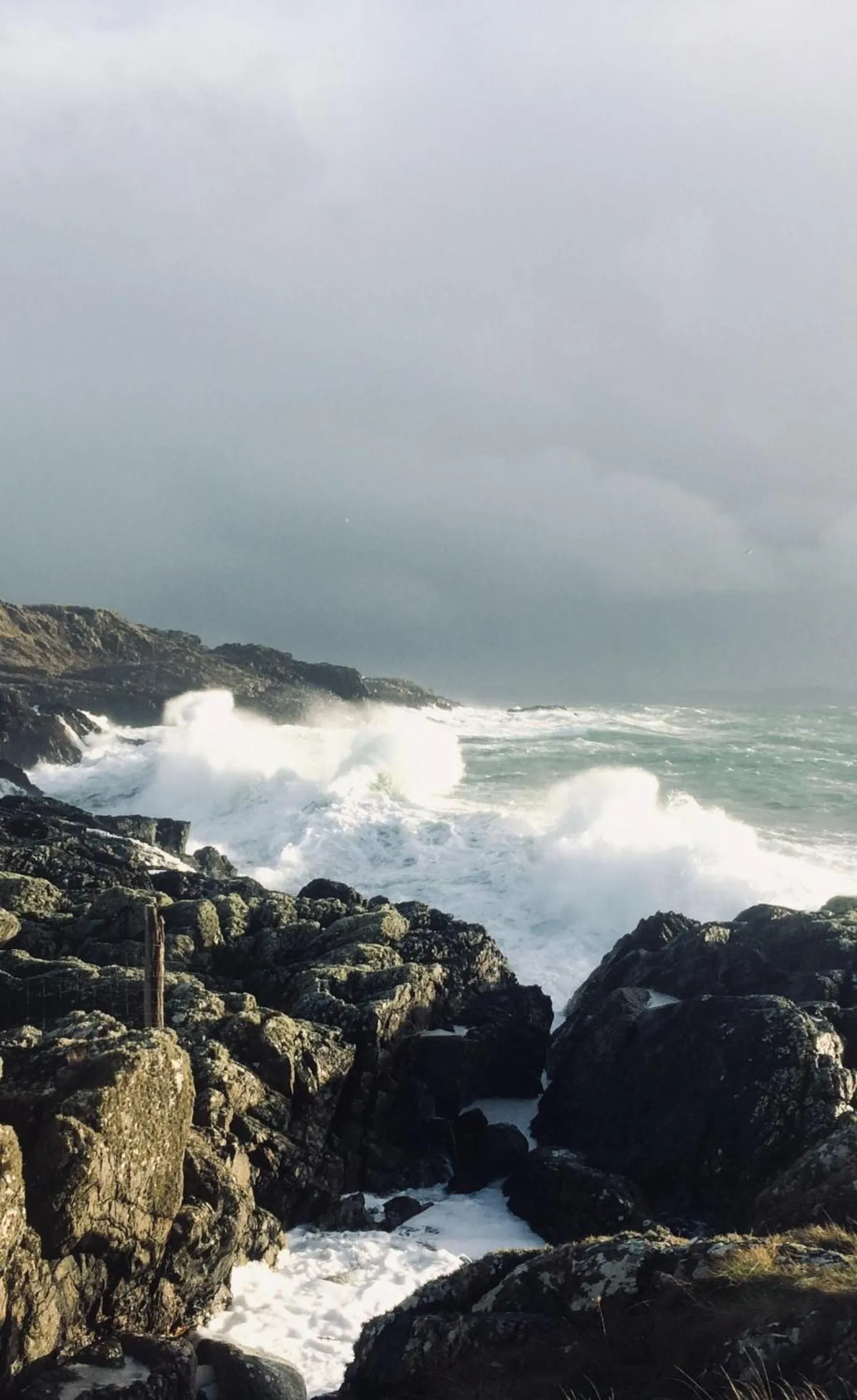 Natural landscape in Burnside Lodge