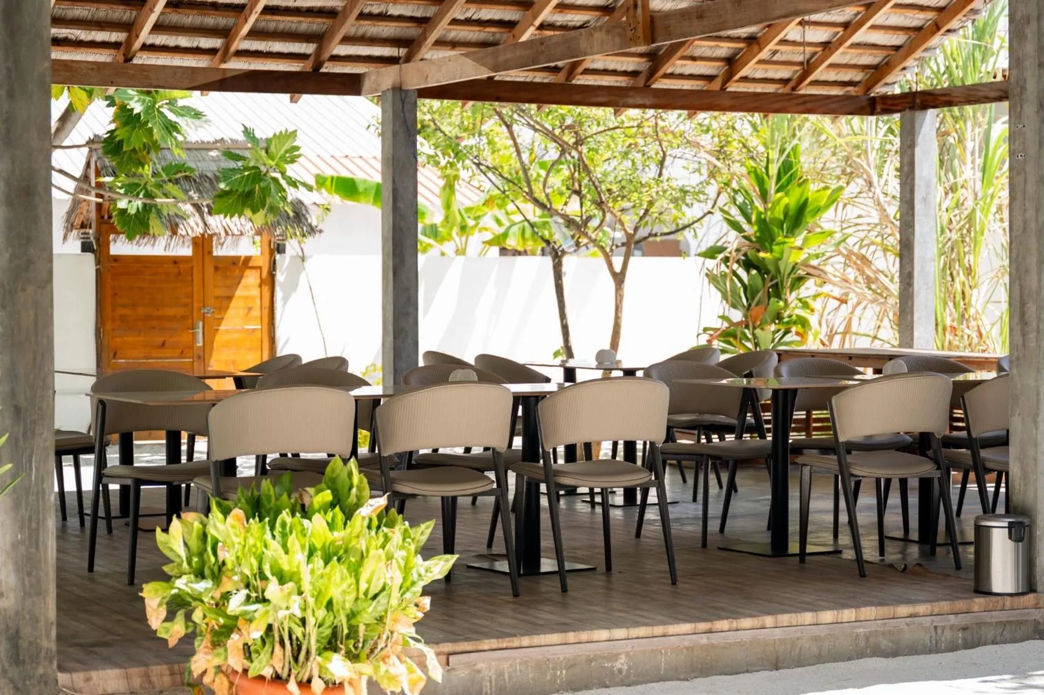 Restaurant/places to eat in Navaya Dhiffushi