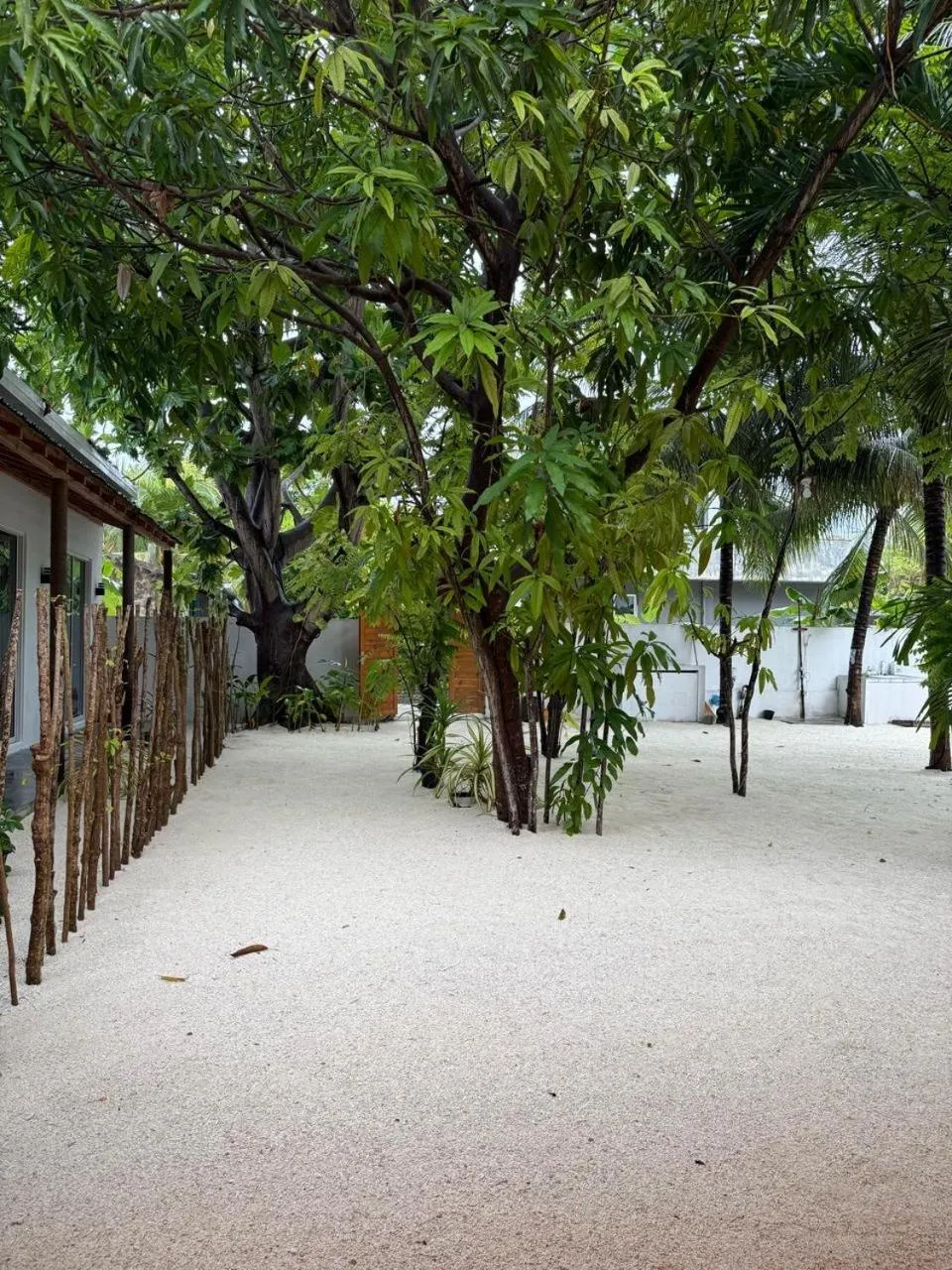 Garden in Navaya Dhiffushi