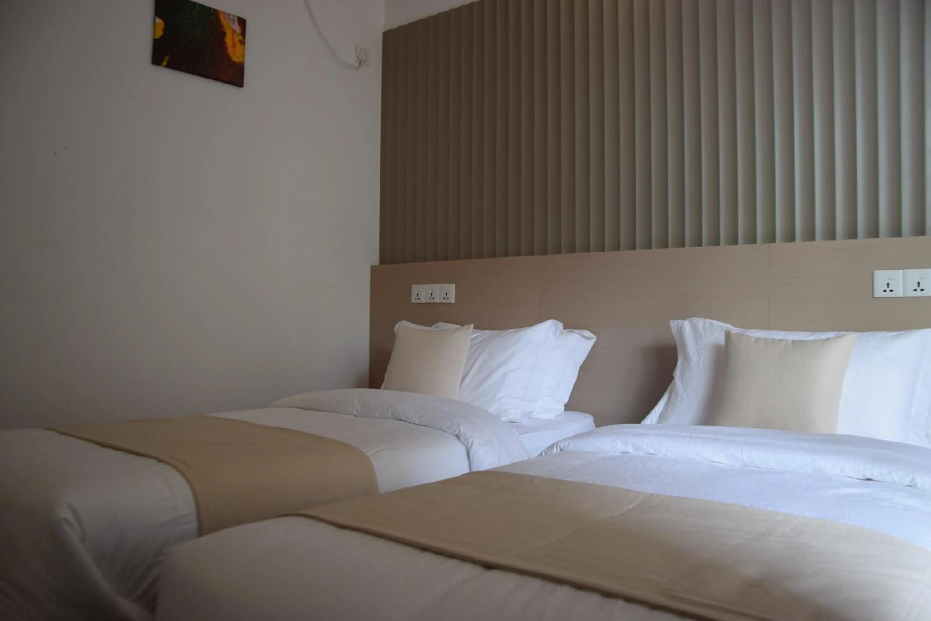 Bed in Navaya Dhiffushi