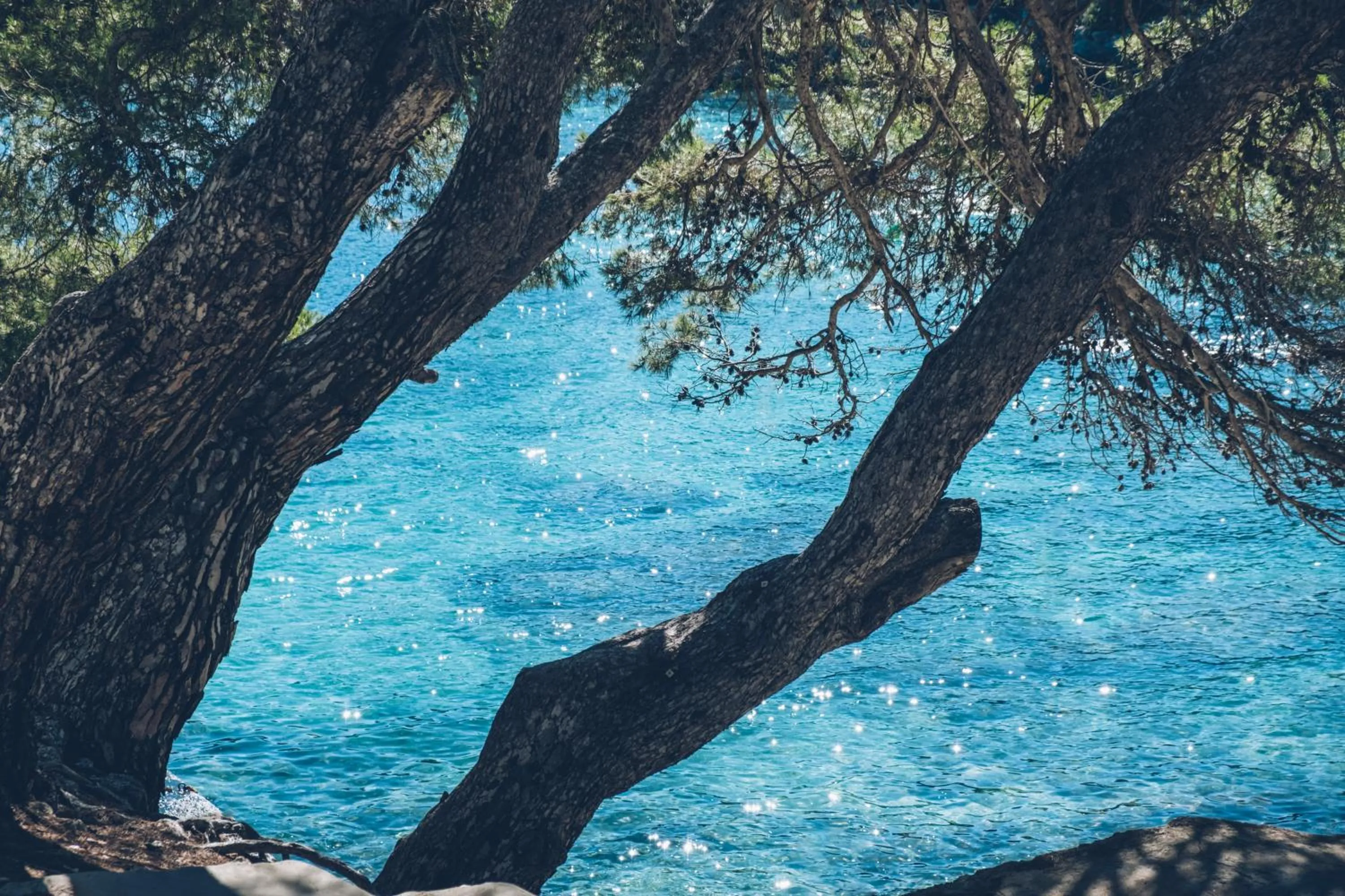 Sea view in Iberostar Waves Pinos Park
