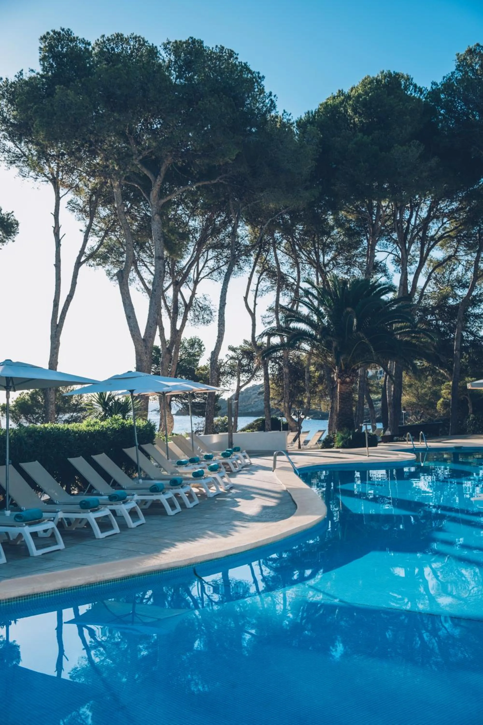 Swimming pool in Iberostar Waves Pinos Park