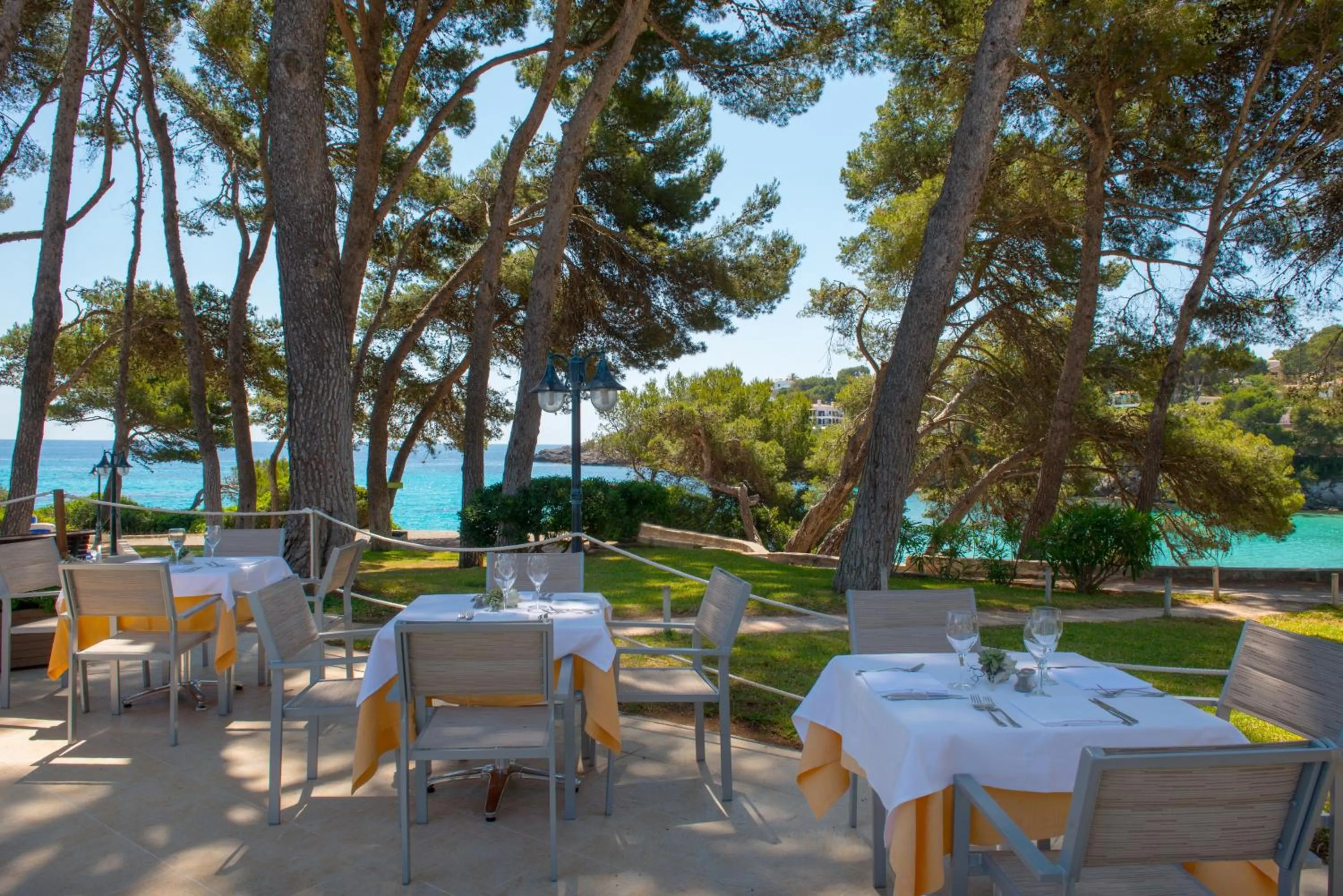 Restaurant/places to eat in Iberostar Waves Pinos Park