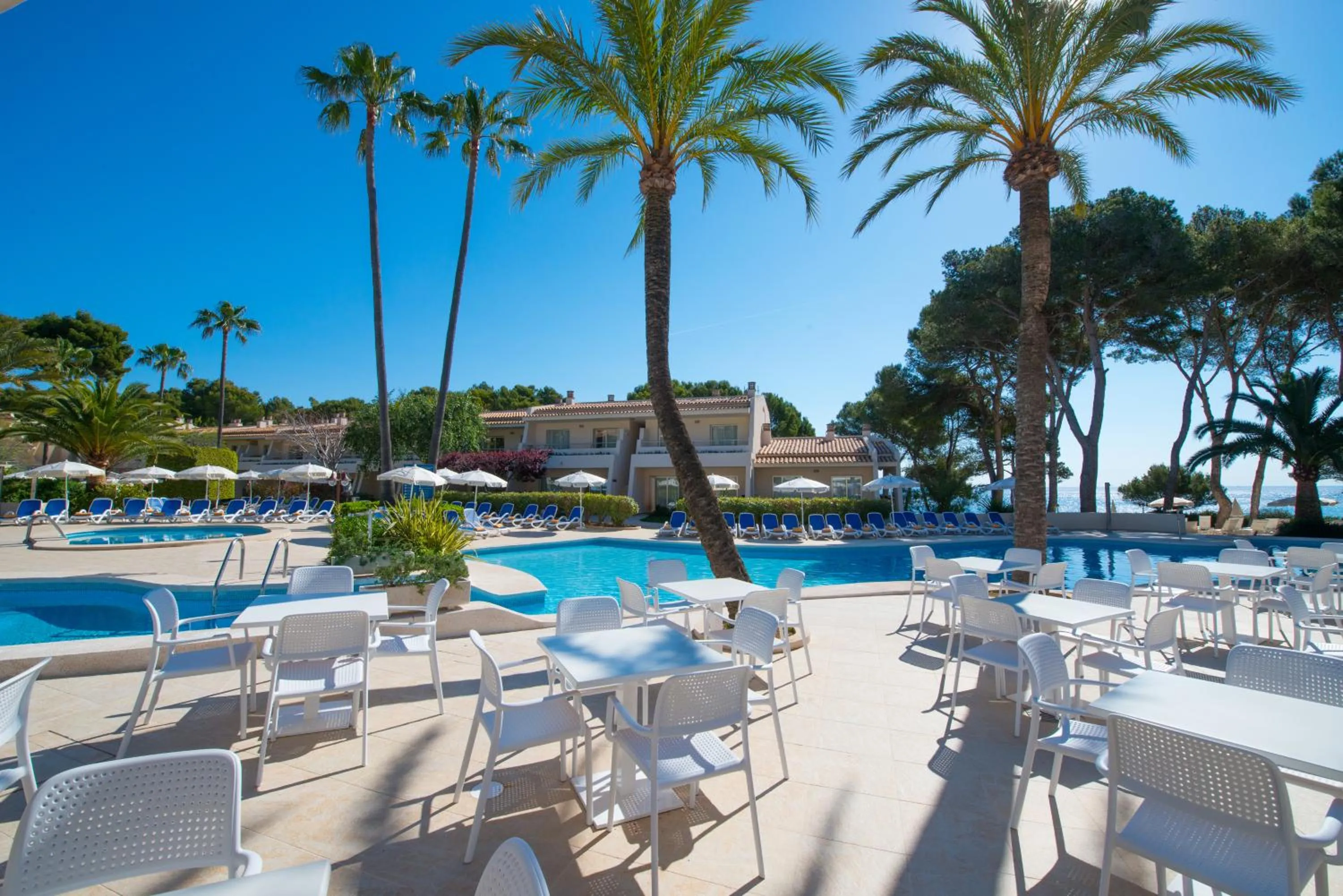 Lounge or bar in Iberostar Waves Pinos Park