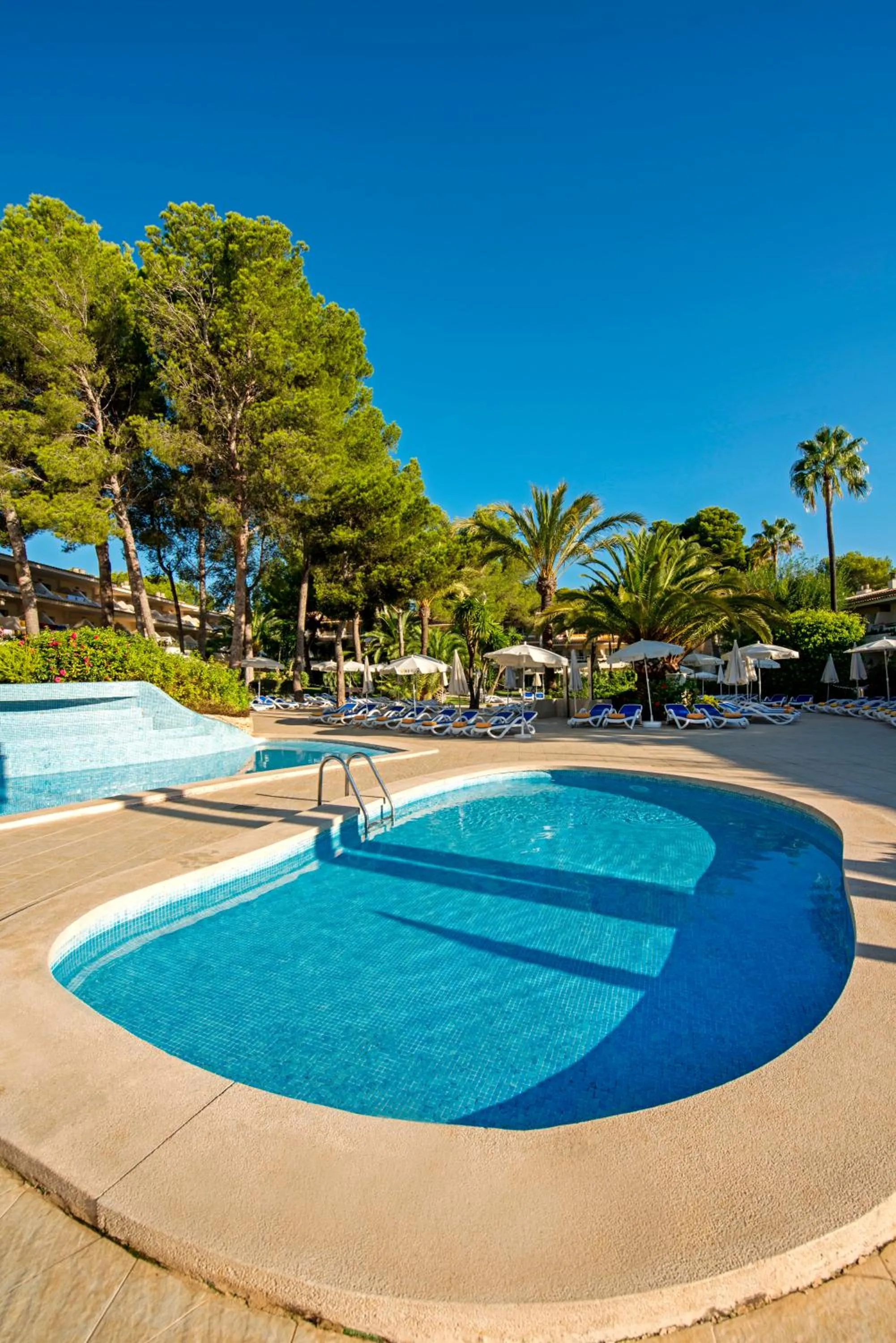 Swimming pool in Iberostar Waves Pinos Park