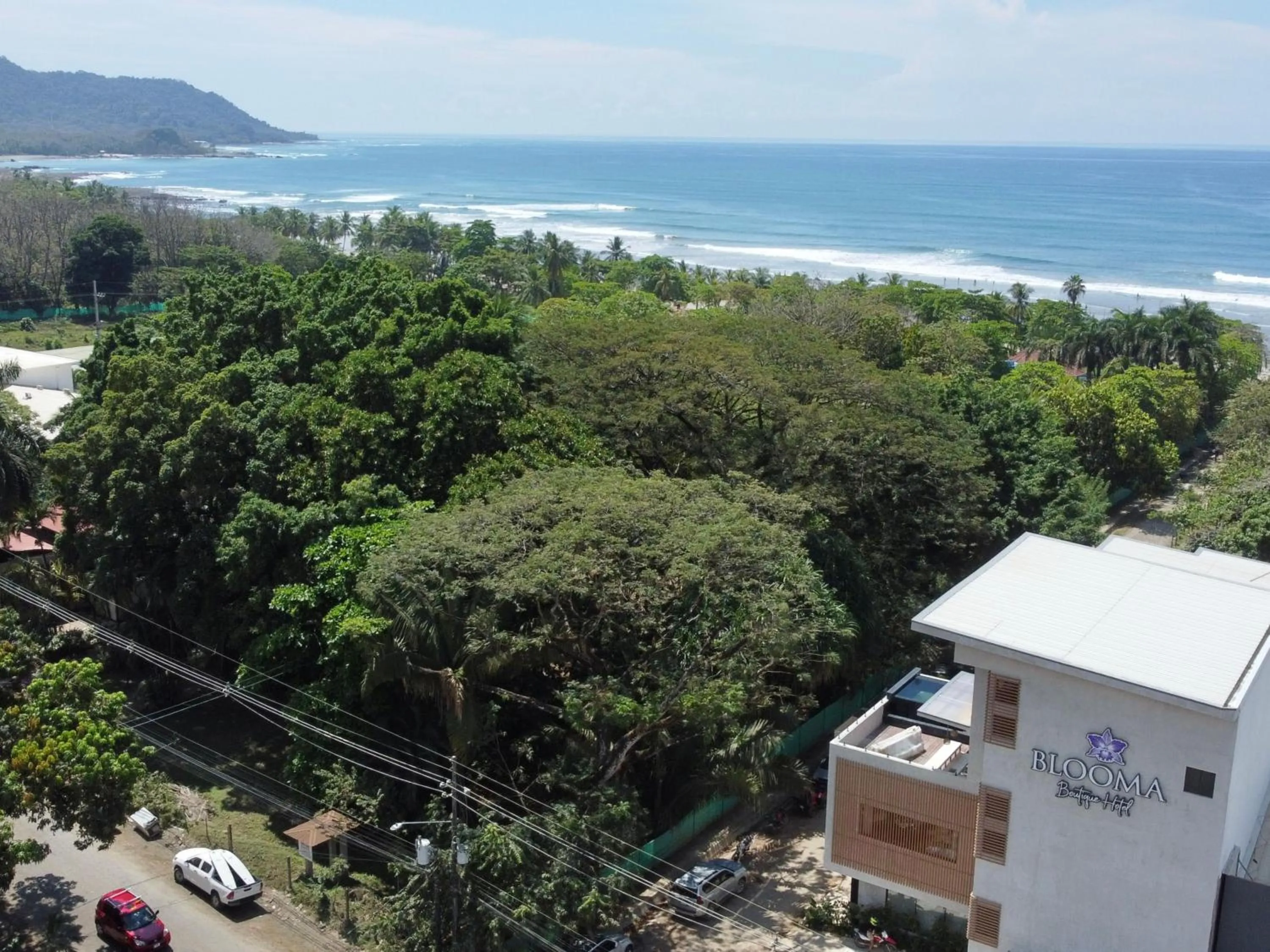 Beach in Blooma Boutique Hotel