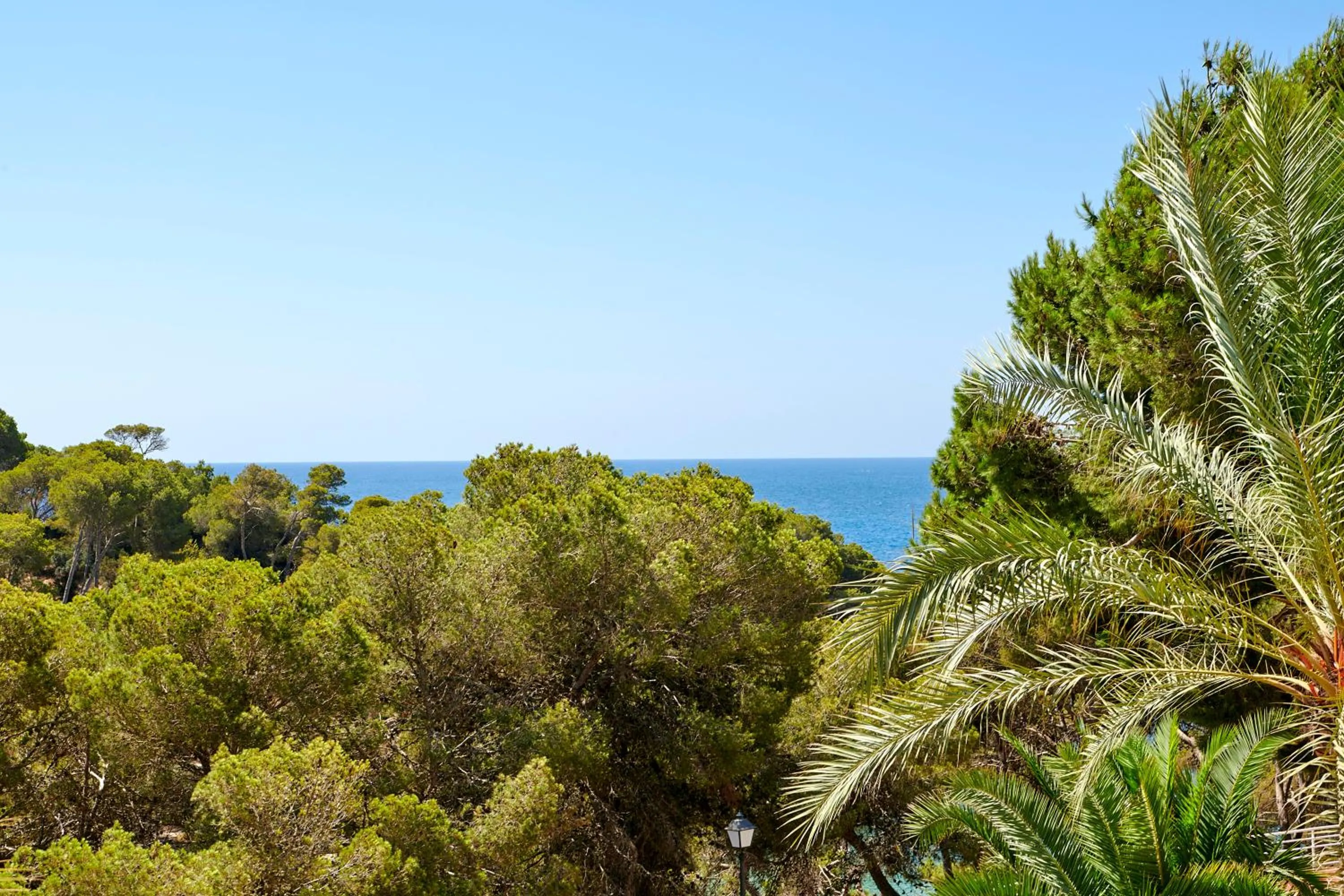 Garden view in Iberostar Waves Club Cala Barca All Inclusive