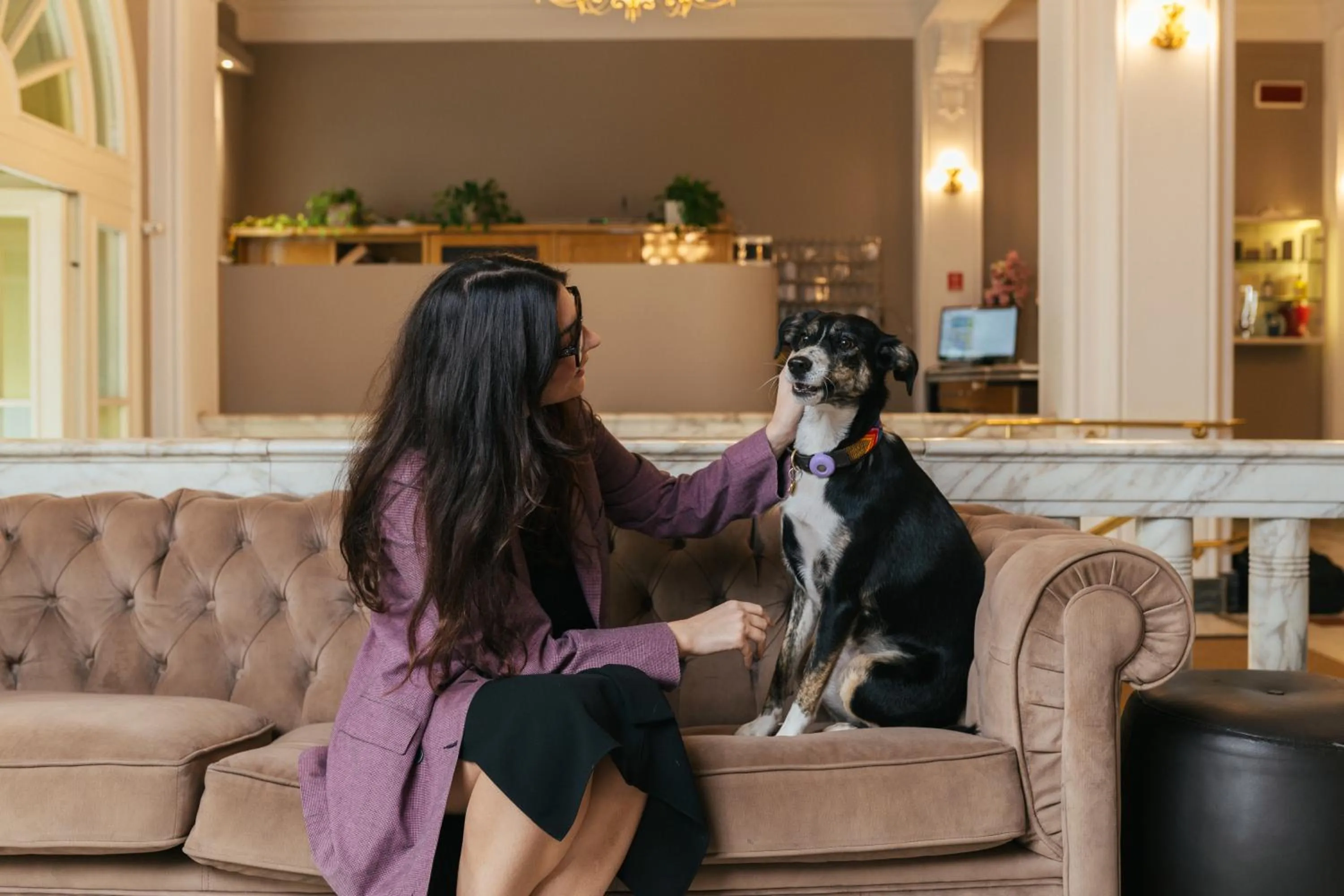 Animals in Hotel Residence Esplanade