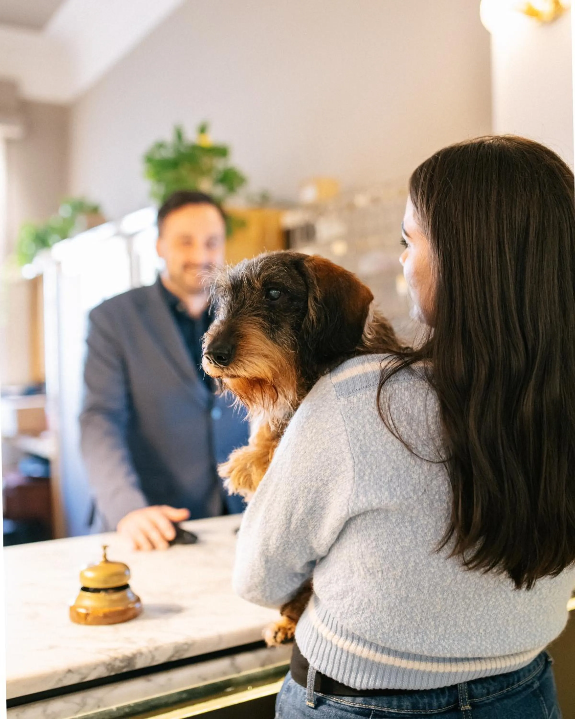 Animals in Hotel Residence Esplanade