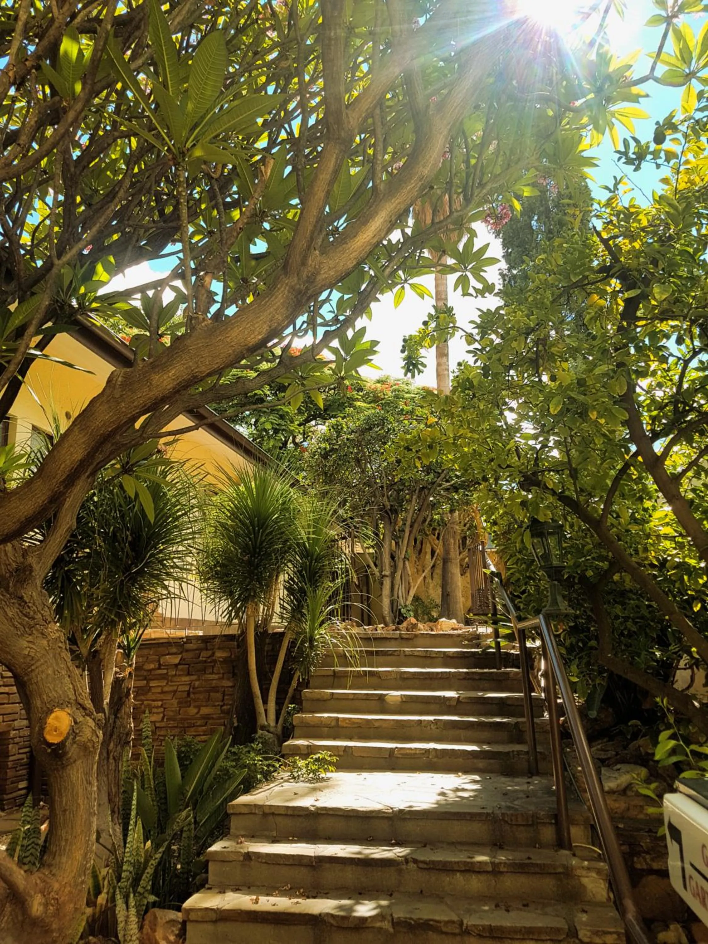 Garden view in Hotel Pension Steiner