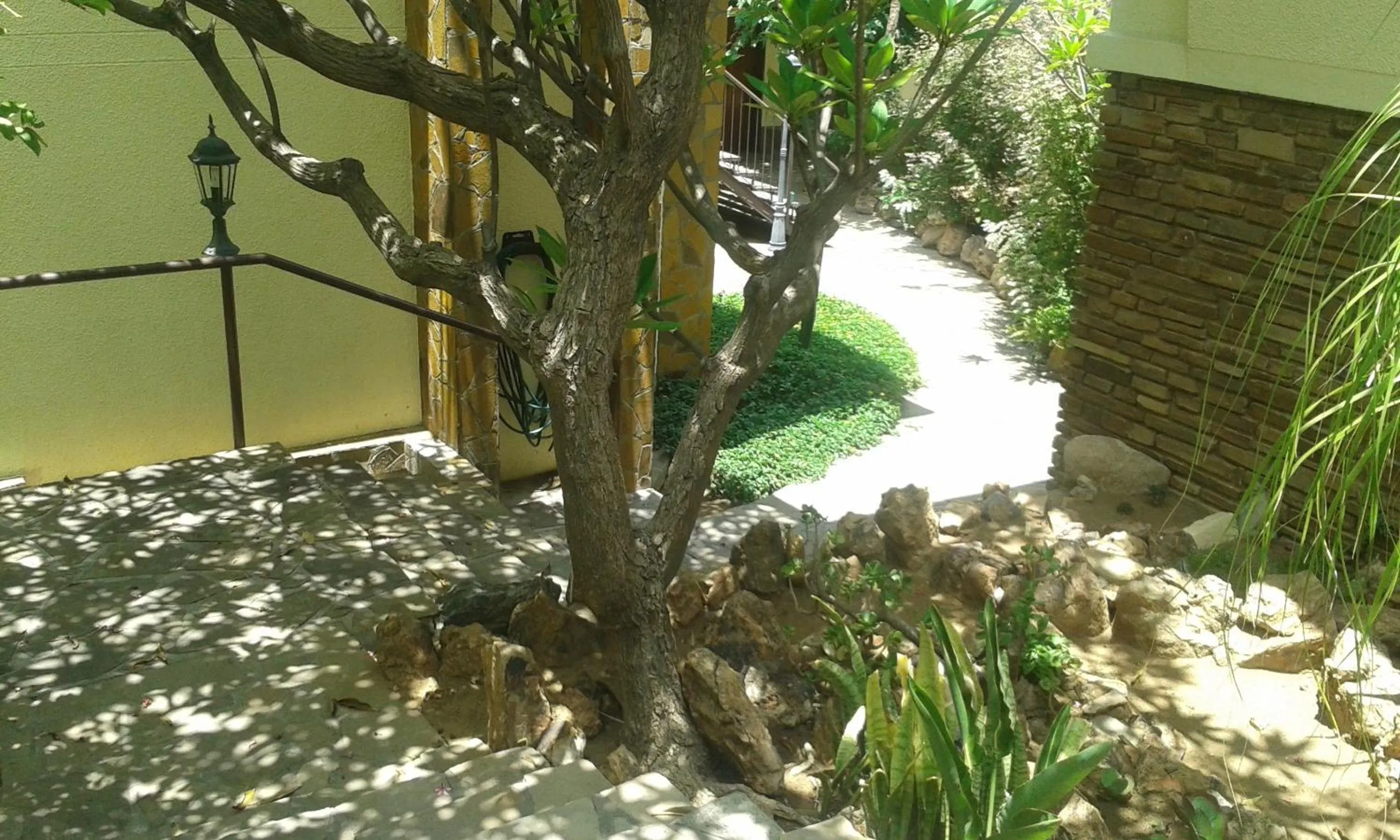 Area and facilities in Hotel Pension Steiner