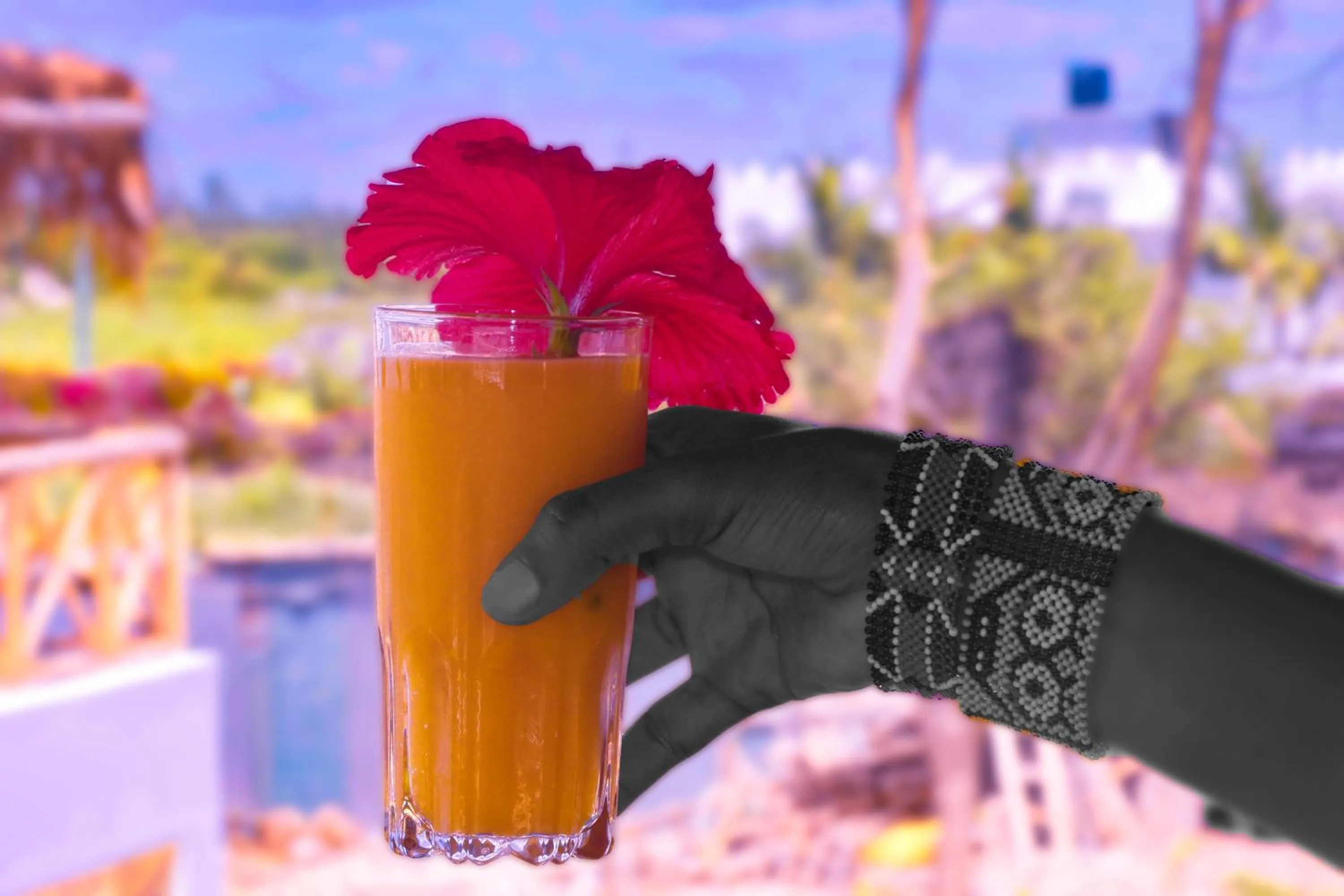 Food and drinks in TATU INN Boutique Hotel WATAMU