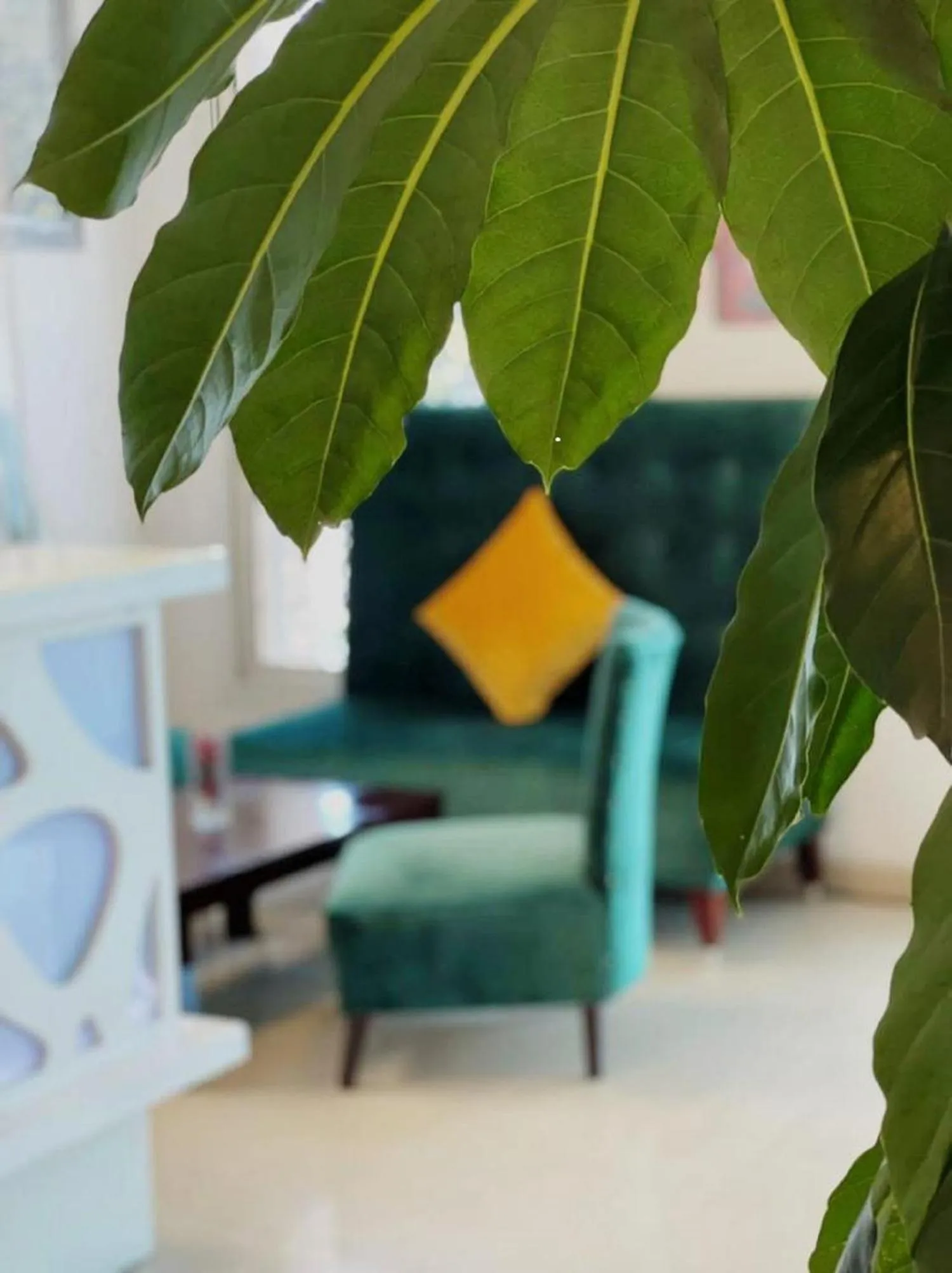 Decorative detail in Relax Hotel Kenitra