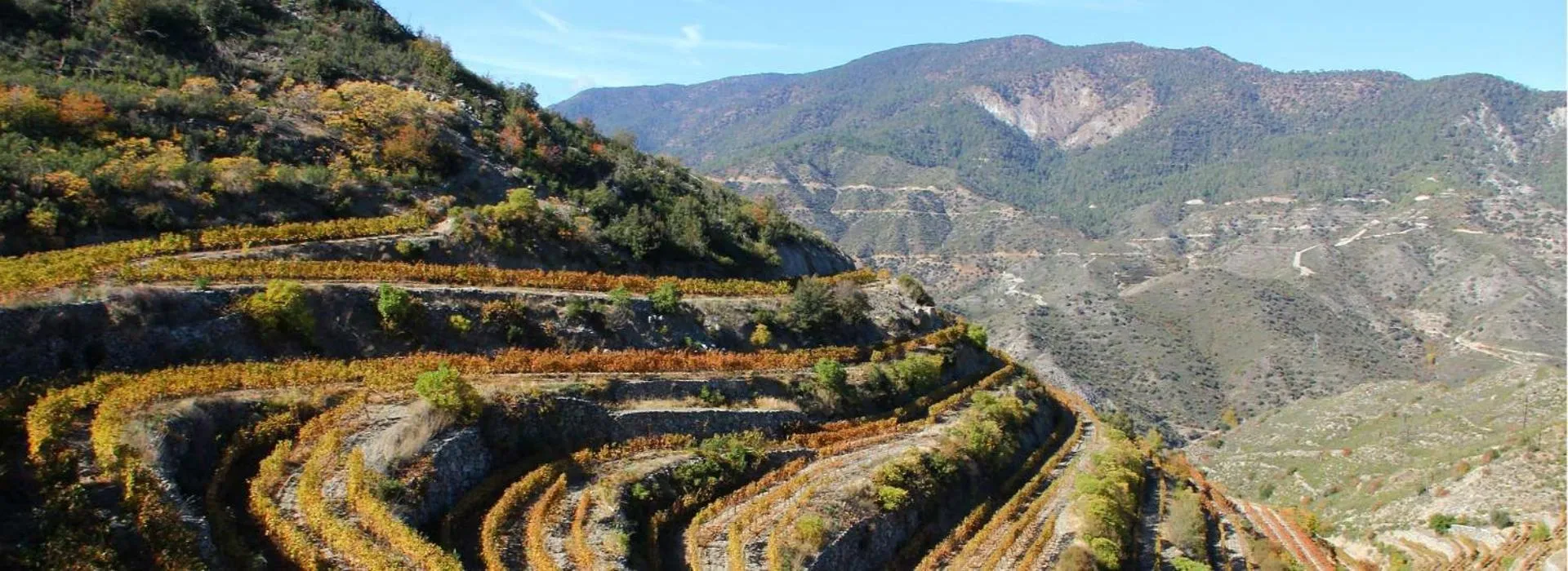 Ascos Coral Beach Hotel