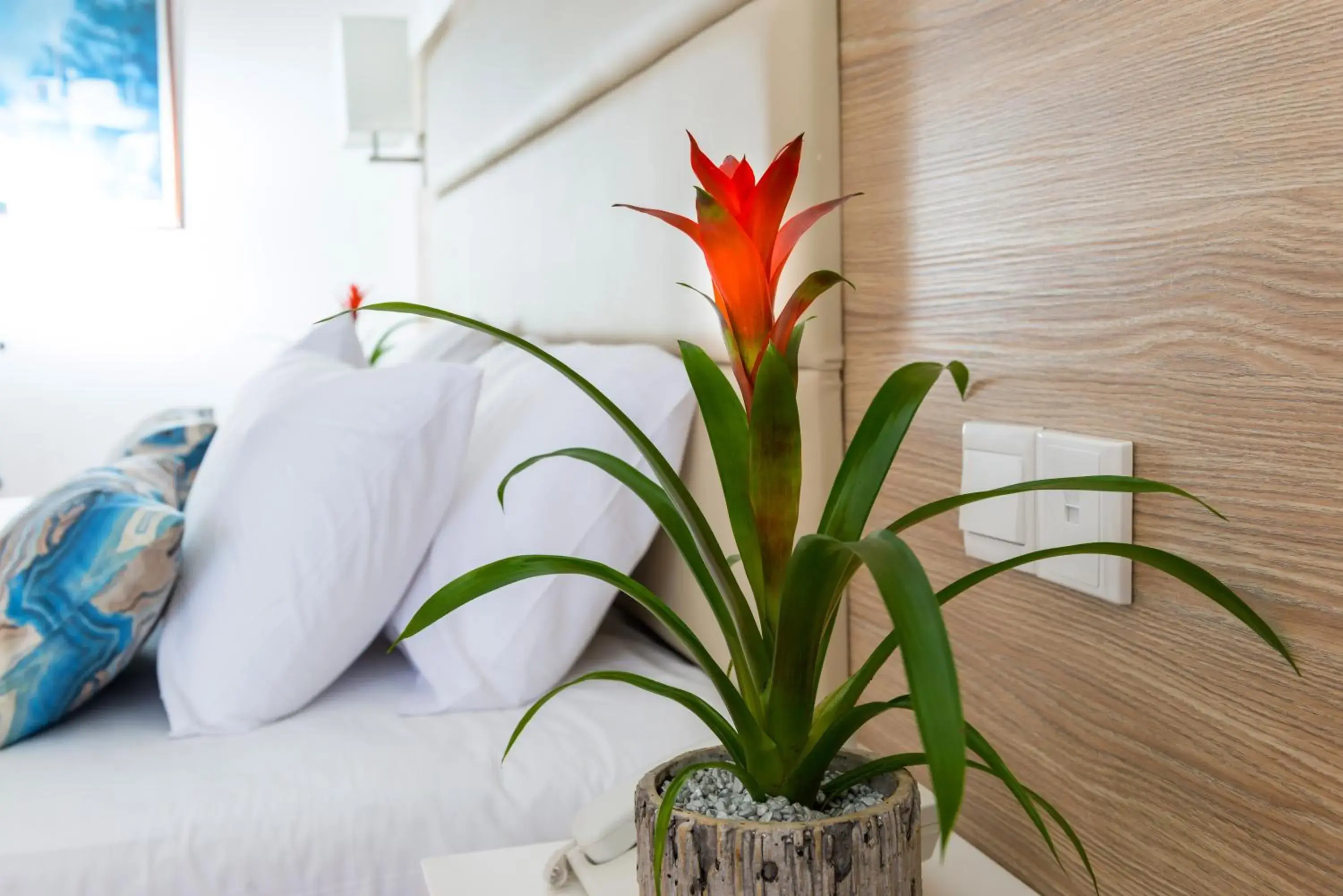 Double or Twin Room with Partial Sea View in Ascos Coral Beach Hotel Double or Twin Room with Partial Sea View in Ascos Coral Beach Hotel