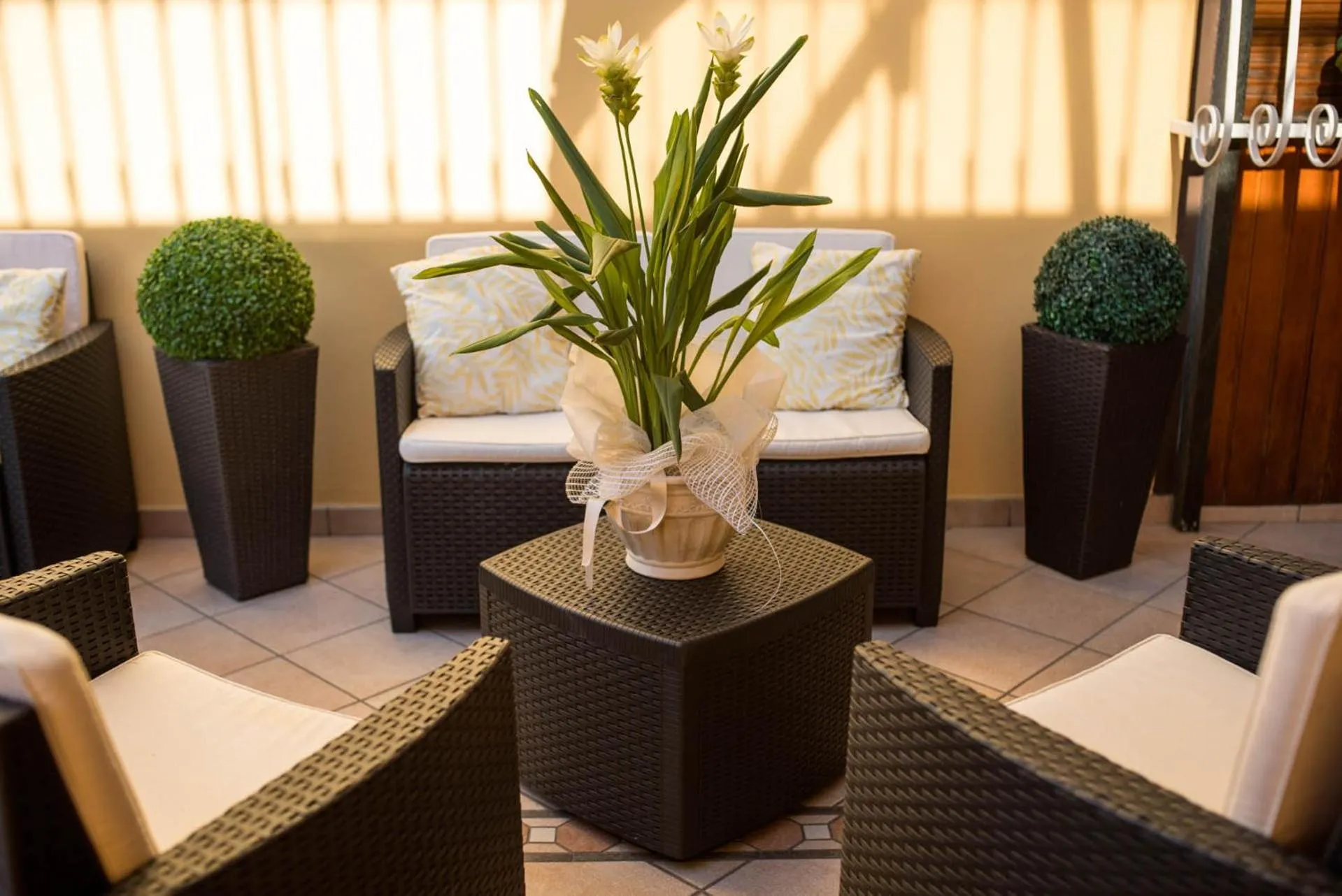 Patio in Hotel Cristallo